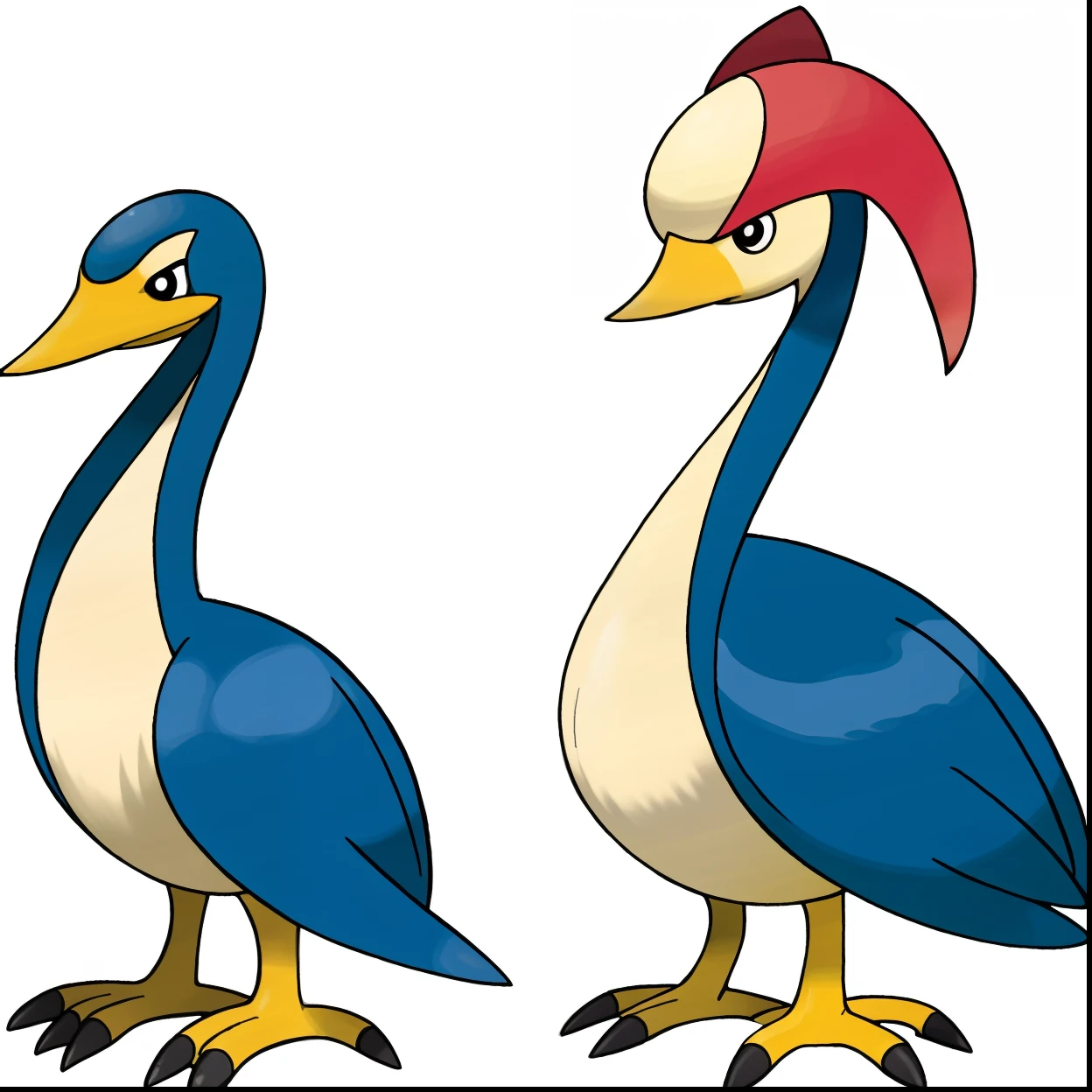 swans