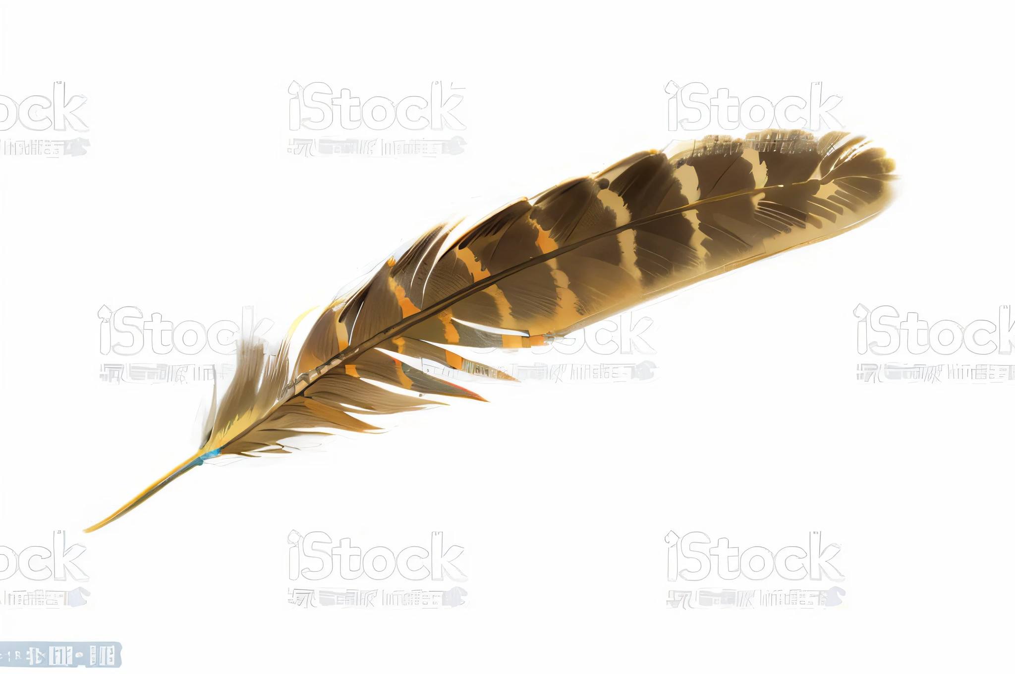 Una sola pluma sobre una foto de la realeza de fondo blanco, Imagen altamente detallada, pluma real, finely detailed illustration, fondo blanco aislado, La foto muestra un gran, hermosa pluma, foto de una hermosa, eagle feather, pluma, hyper detail illustration, Highly detailed illustration, Foto muy detallada, aislado sobre fondo blanco, Vista lateral en primer plano de un demacrado, realista. plumas detalladas