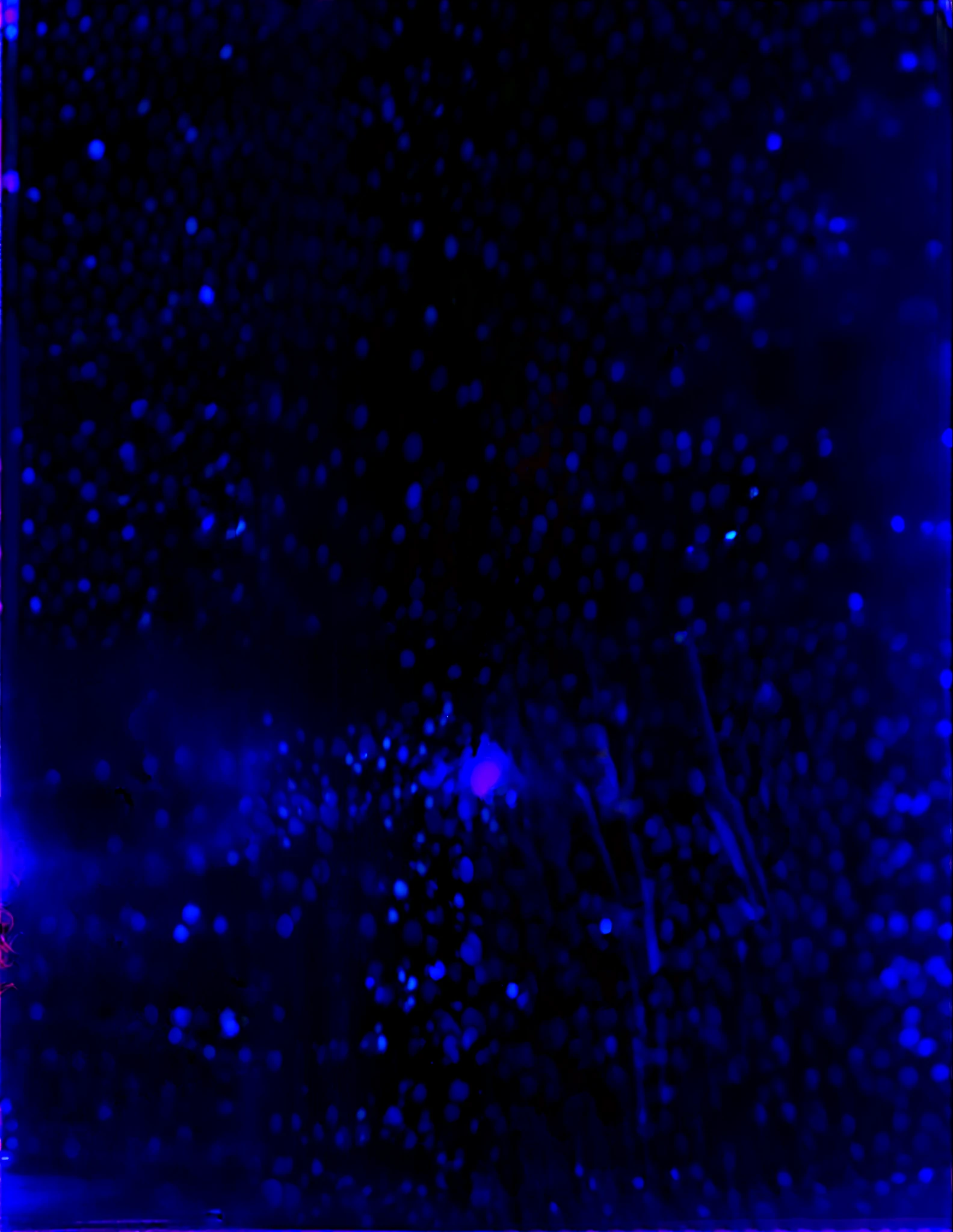 kim kardashian 2018 , She walks in the middle of her audience  In lights of night, Everyone there rooting for Kim Kardashian,people in background carrying kim kardashian picture, High level of detail, Cinematic ,the Image taken by a photographer ,Realistic, indescribably realistic, v1 , v : 1 , ar 16 : 9