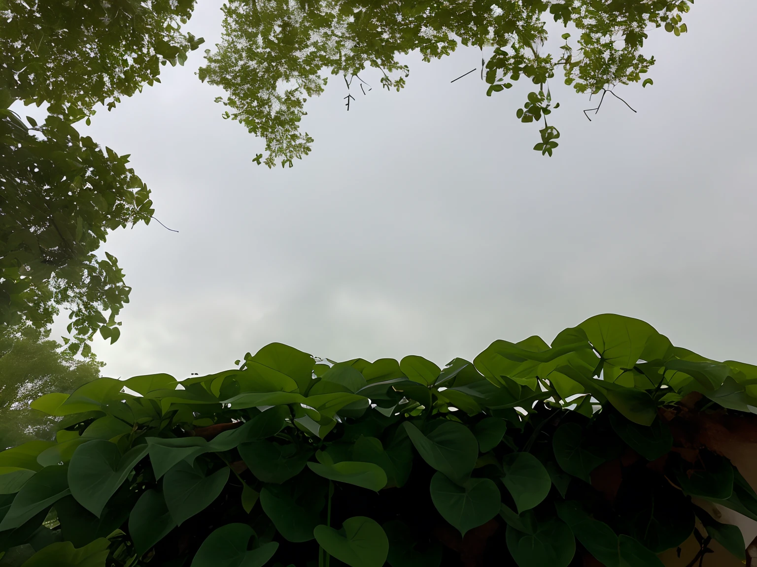 there is a clock on a pole in the middle of a garden, natural overcast lighting, looking from slightly below, view from ground, low angle 8k hd nature photo, low angle wide shot, very low angle photograph, view from below, view from bottom to top, overcast day, shot from a low angle, view from bottom, low angle photo