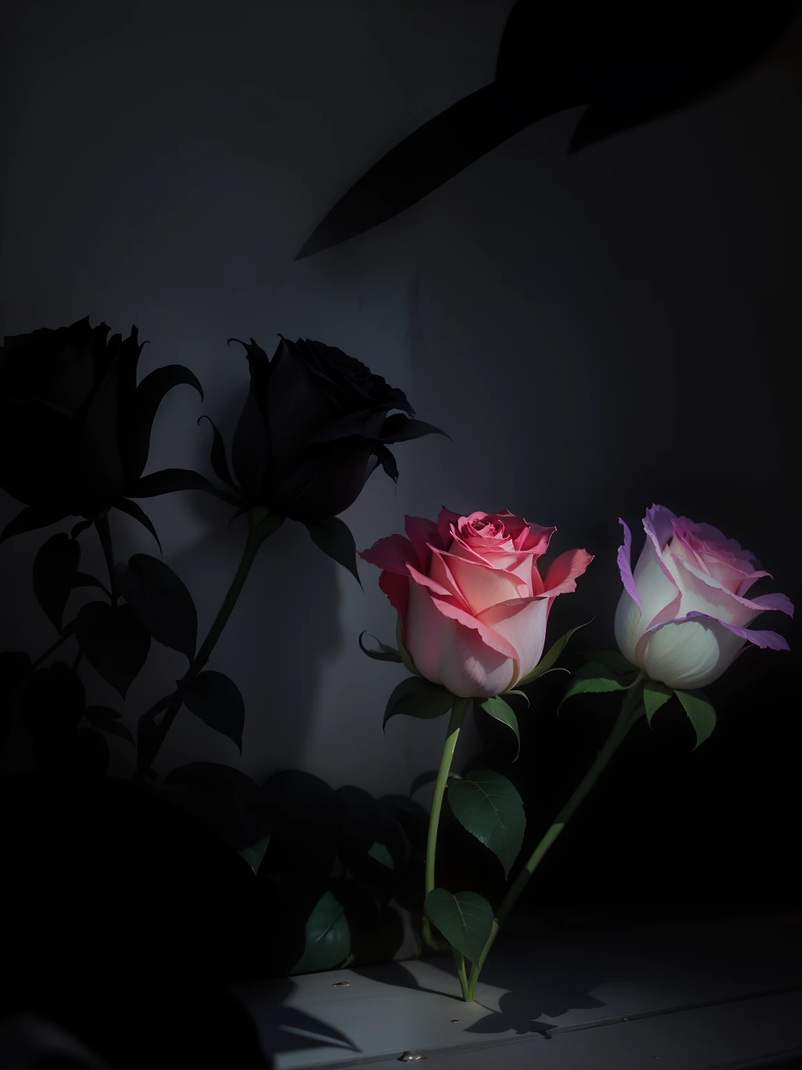 Bright roses，Elegant shadow，At night, a ray of light came down