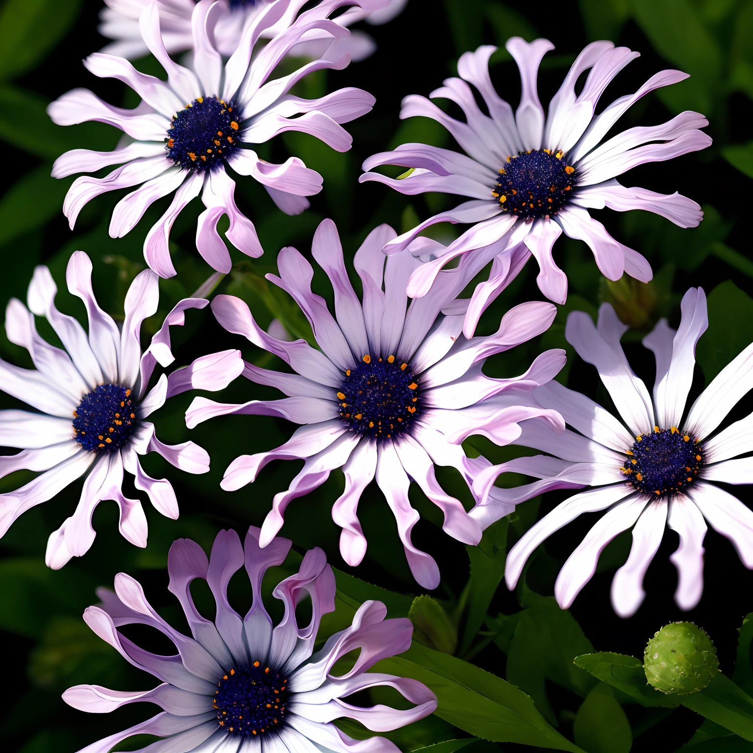 Flower, Osteospermum flower, grass, fog, night, beautiful stars, dynamic light