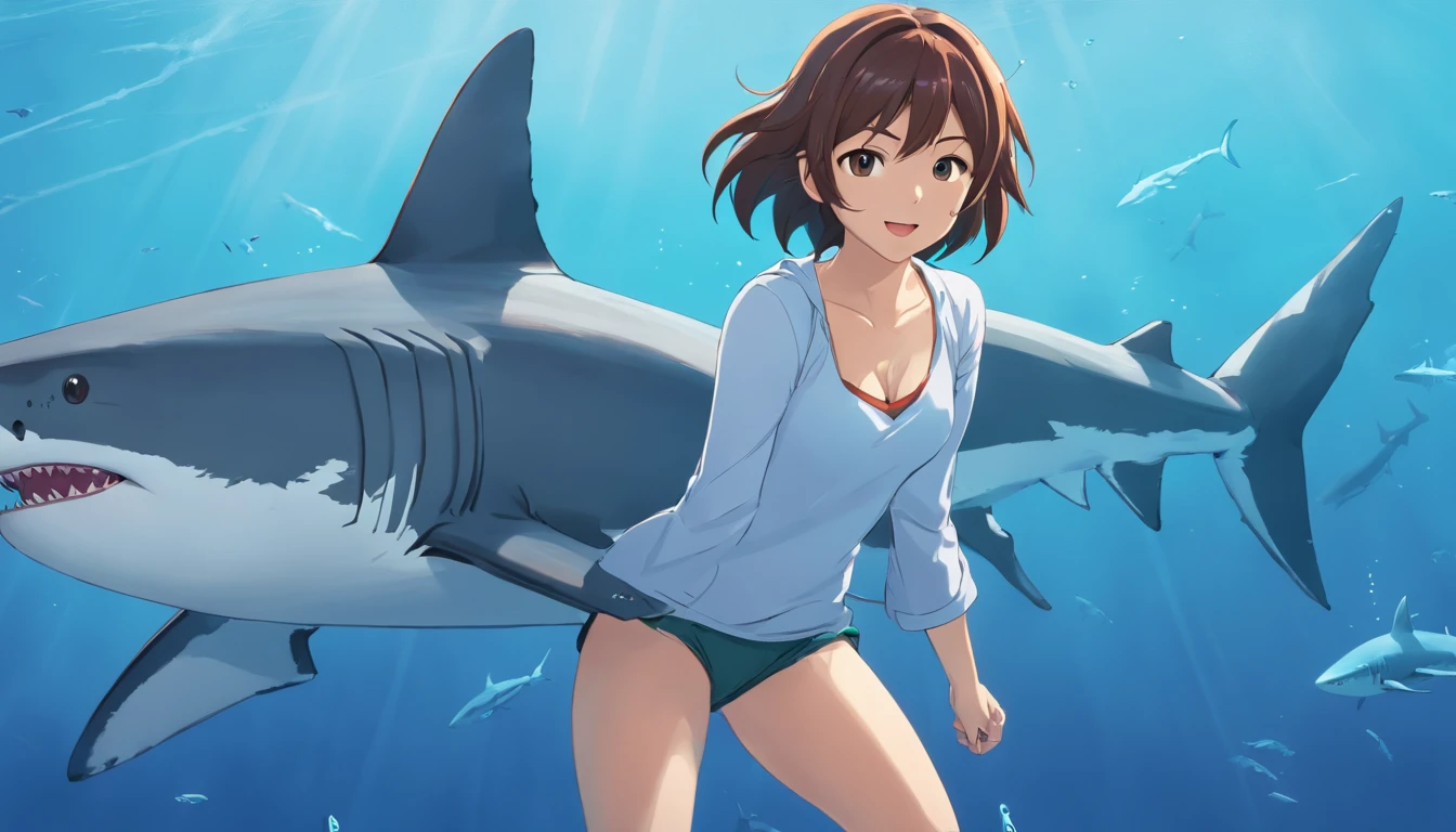 Great white shark，Cartoony，Front