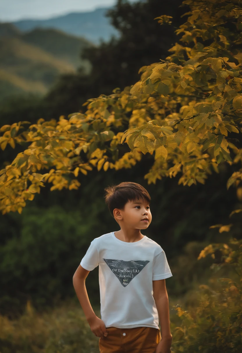 (Boy T-shirt),(Real Photographics),4k高清,Simple outdoor background