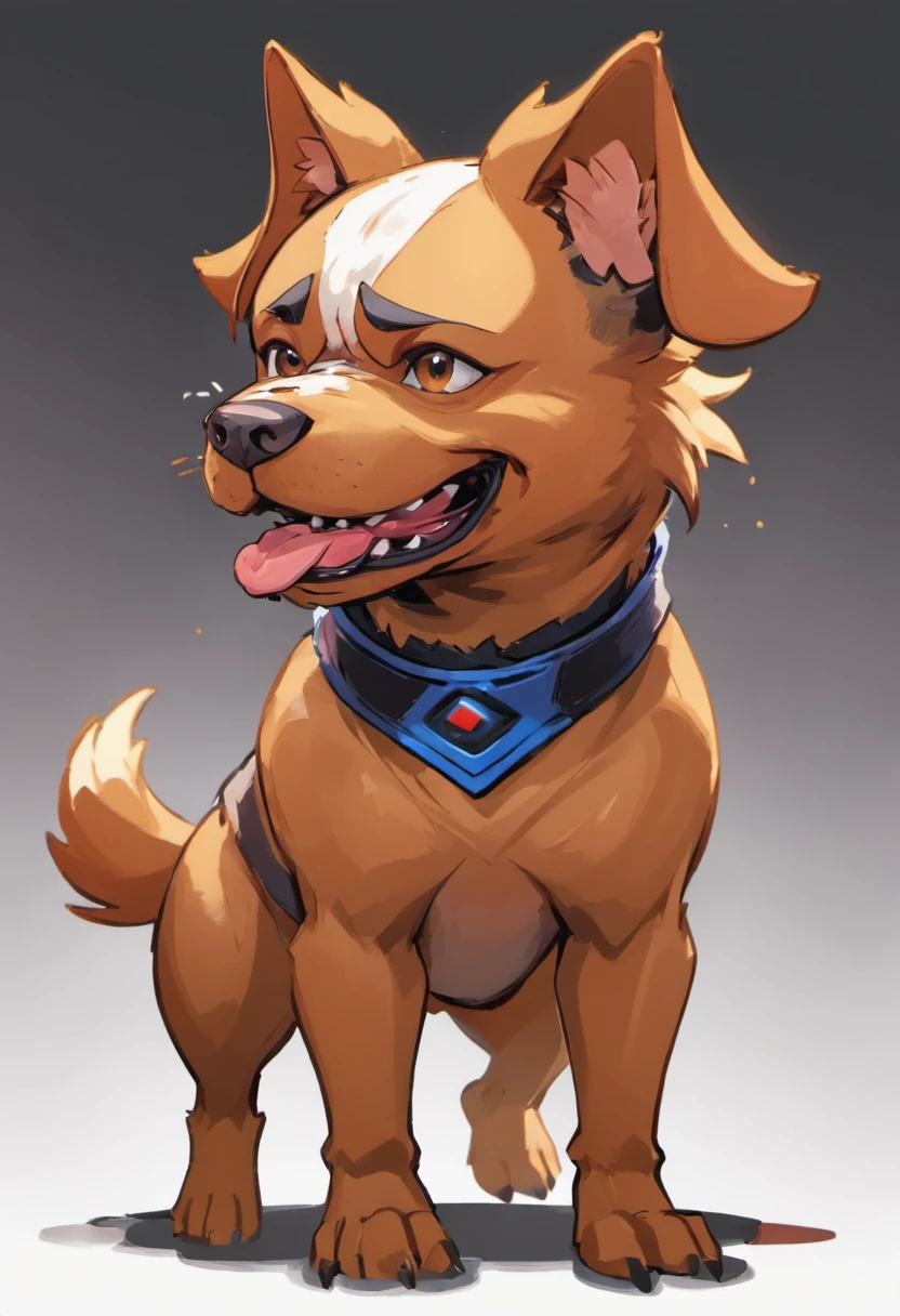 a Dog