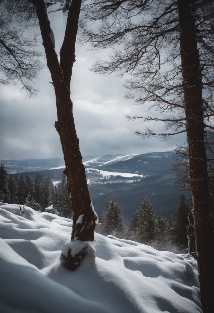 montanhas neve arvores