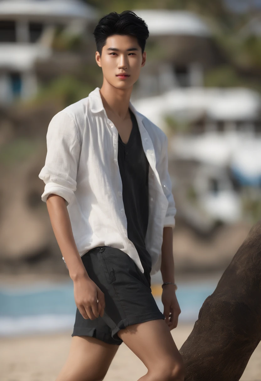 (realistic:1.3), insane detailed, quality, (masterpiece:1.2), (photorealistic:1.2), (best quality), (detailed skin:1.3), (intricate details), ((full body)), (((1guy)), (((1 person))), 20 years old, Asian face, 169cm, black hair, two-block hairstyles, black eyes, short hair, smile, on the Beach, Hawaii, hawaii-shirt, short pants, (background blurred),