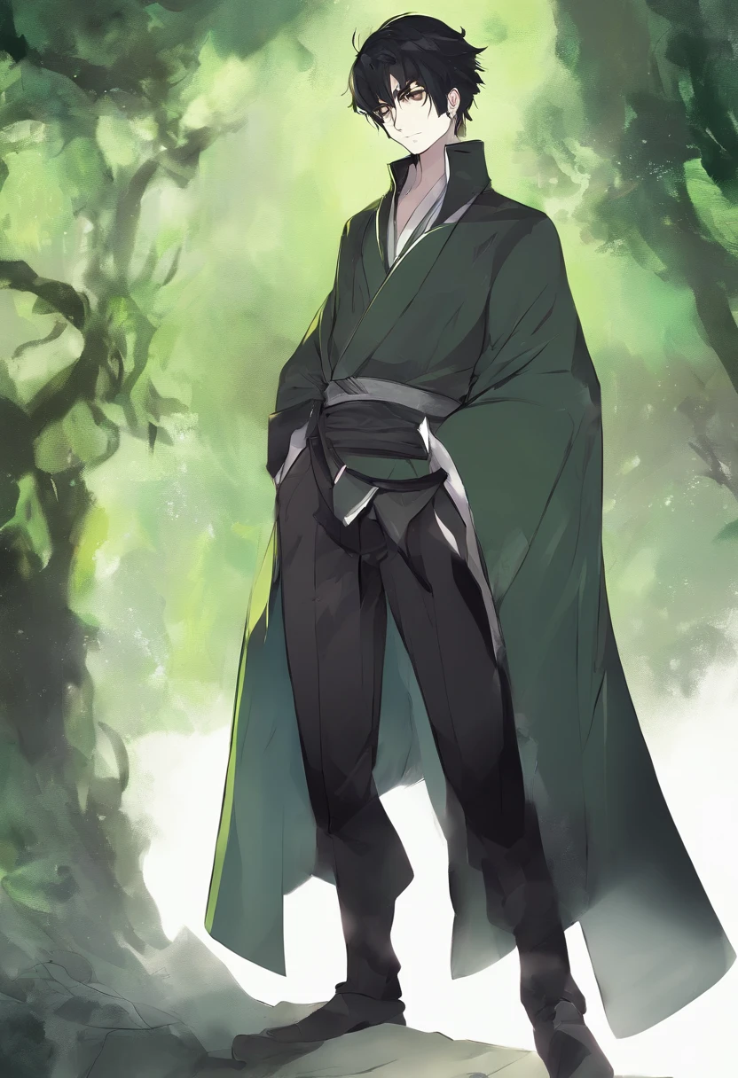 male (Male), green eyes, Birthmark on left cheek, white skin tone, Short dark black hair, Black shirt, Robe, tight pants, Simple background, anime, fantasy, 20 years old.
