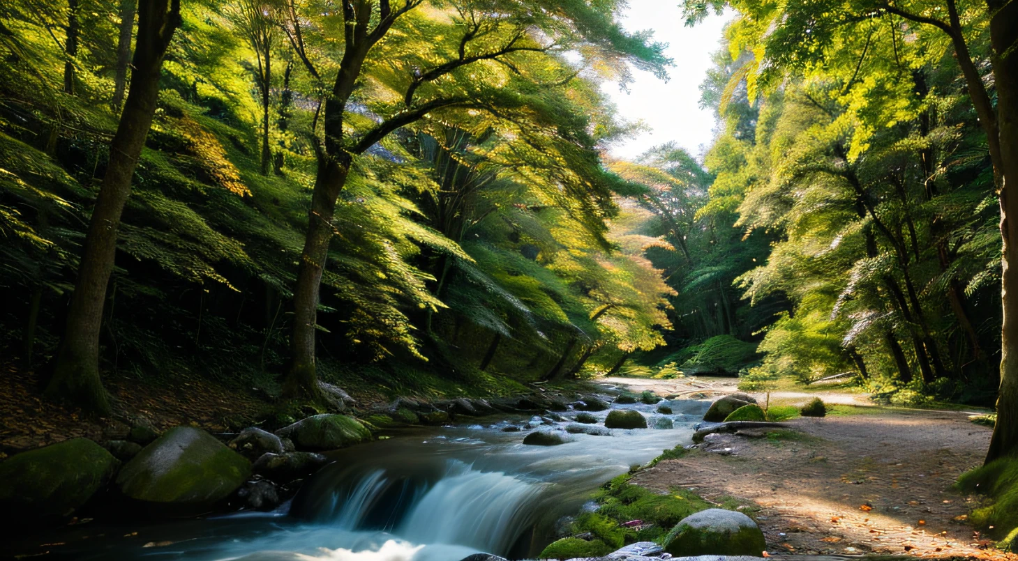 jpn、in woods、Big Yakusugi、Morning sun spilling from the leaves of branches、mystical、A small river next to it