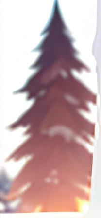 Very tall tree,There is snow on the trees,the setting sun