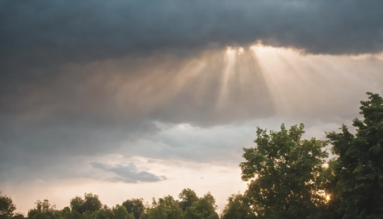There is only love in the world,I believe in you,Summer sky,Into the cloud,evening shower
