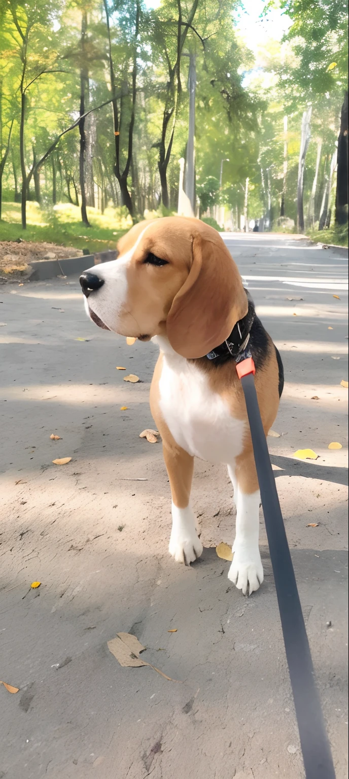 Have a dog, who stands on a leash on the street, cute beagle, walking at the park, Looks smart, by Maksimilijan Vanka, by Emma Andijewska, by Alexander Fedosav, Easy to understand, A hyper-realistic, With high detail, wide portrait, a handsome, singularity, nikolay, by Niko Henrichon