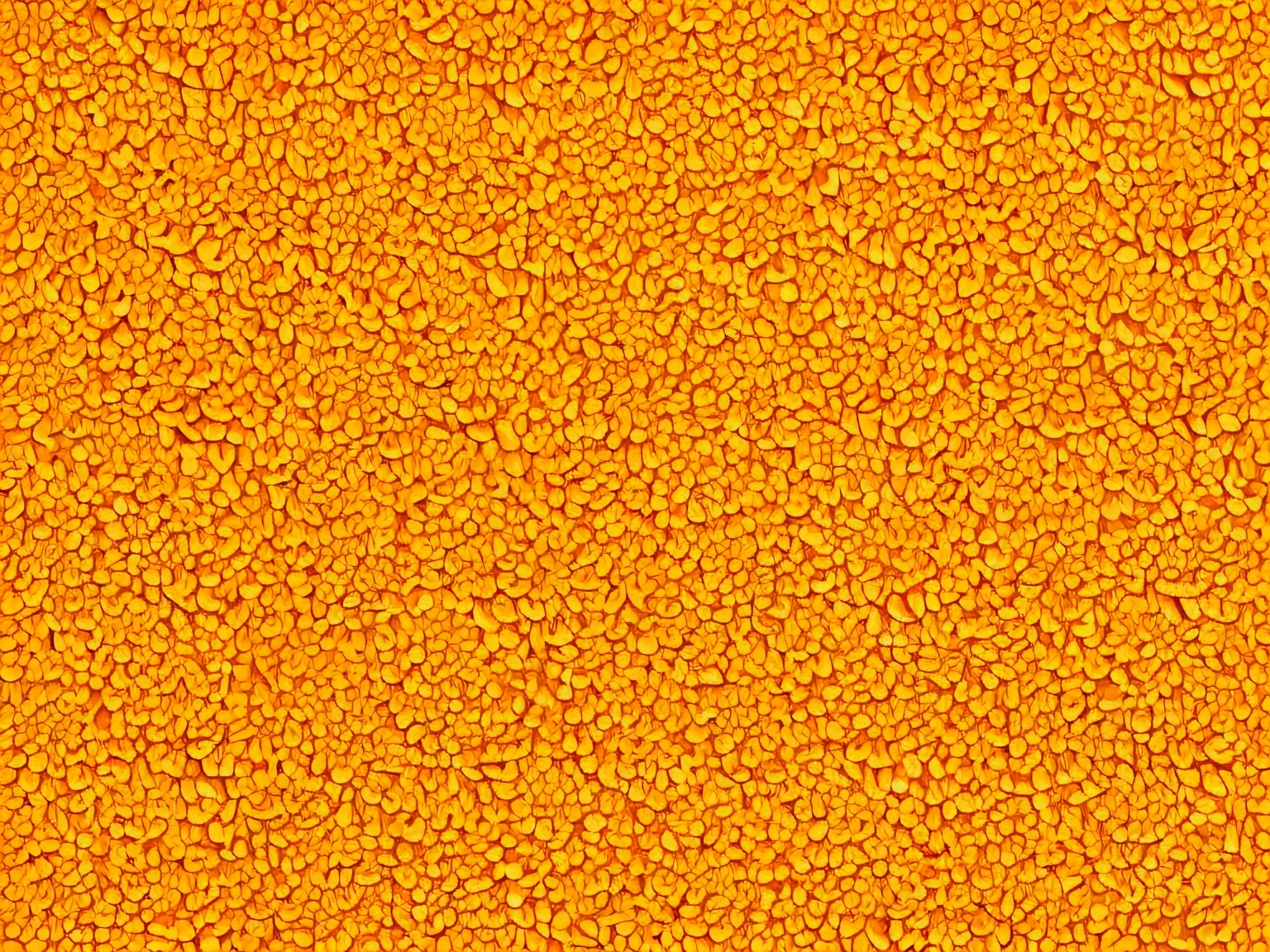 WALLPAPER CON superficie rugosa, degradado suave amarillo y naranja