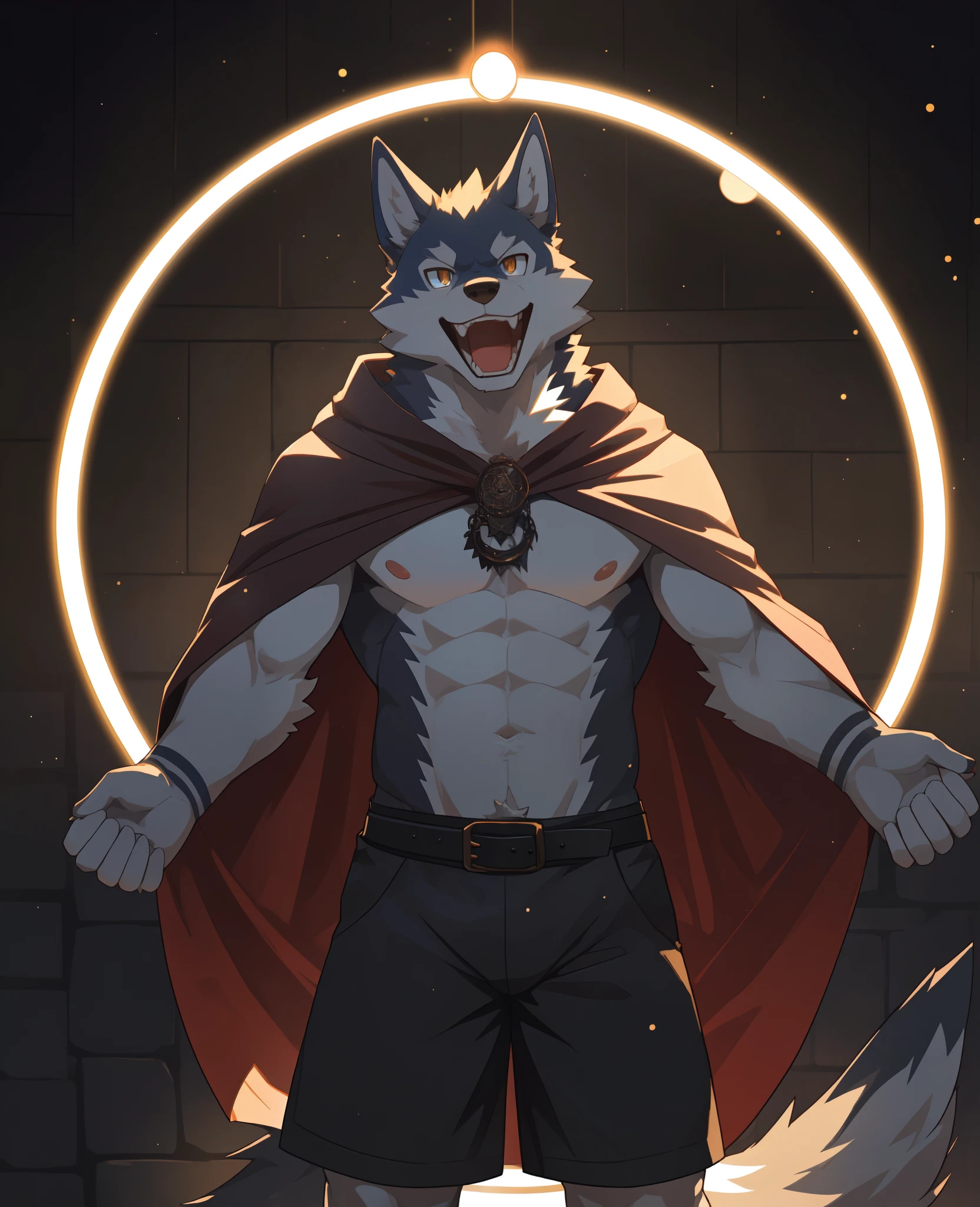 (masterpiece,best quality,perfect anatomy),detailed background,hi res,nj5furry,kemono,
solo,male anthro wolf,cloak,topless,shorts,laugh,looking at viewer,
dark theme,backlight,(circle light:1.4),magic,