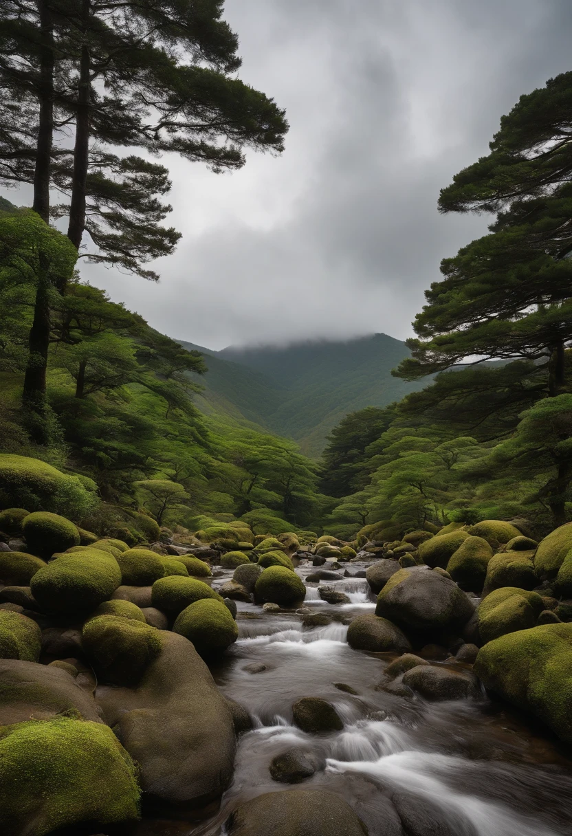 The mountains of Hakone are steep under the heavens
Hakoyaseki is also a thing.
Mt. Zenjō no Tani
Rise forward, support behind
Clouds go around the mountains, fog goes over the valleys
Row of cedar trees
The small diameter of the sheep intestine is moss smooth.
When it hits monogamy, there is no opening of Manfu
Traveling under the heavens: The Samurai of Strength
On the waist of a large sword
Eight ri rocks, stomp
Thus is the samurai of yesteryear

The mountains of Hakone are a barrier under the heavens
Shu no Pier Not counted
Mt. Zenjō no Tani
Rise forward, support behind
Clouds go around the mountains, fog goes over the valleys
Row of cedar trees
The small diameter of the sheep intestine is moss smooth.
When it hits monogamy, there is no opening of Manfu
Hunting in the mountains
On the shoulder of the hunting gun
Eight Miles of Rocks, Tread
Thus is the only way to be, the Recent Grandmaster