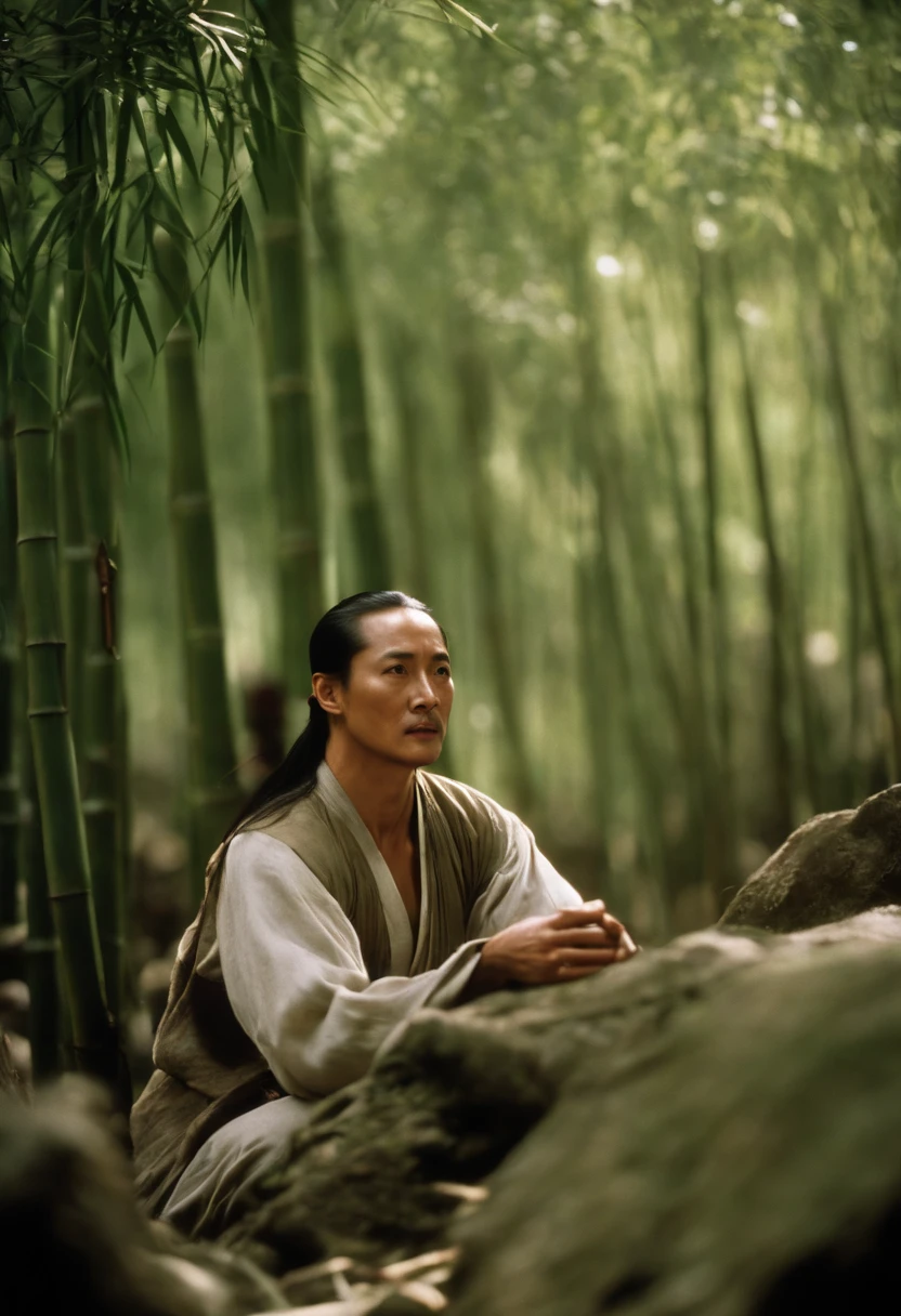 Crouching Tiger, Hidden Dragon stills,Chow Yun-fat,bamboo forrest,Hanging Via