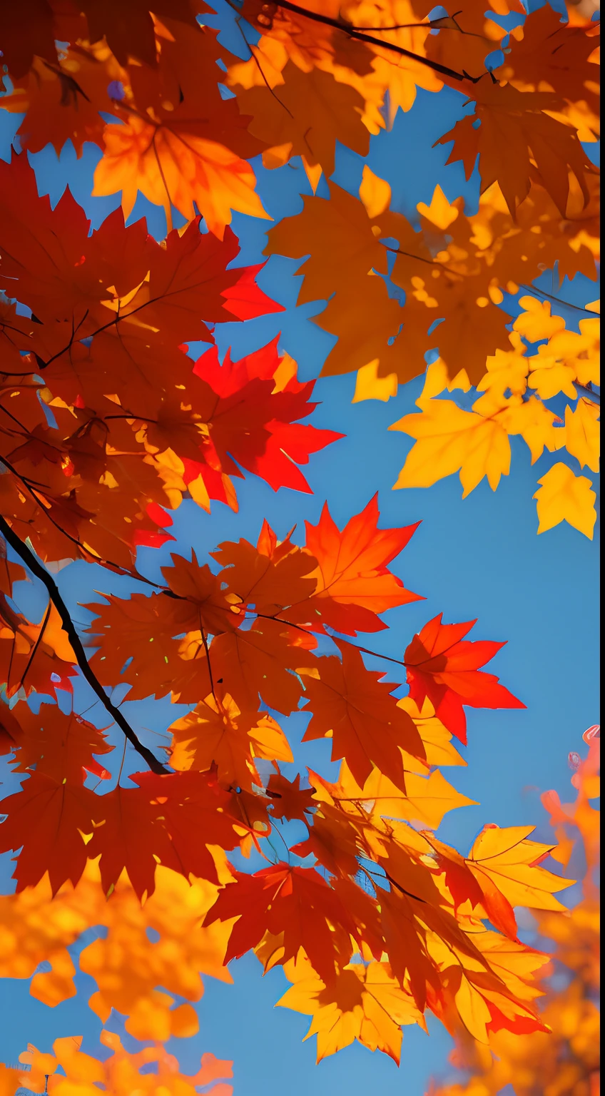 Autumn morning，Branches in the sun，Hang sunlight on the leaves，photorealestic，Natural soft light，Hyper-detailing，4K