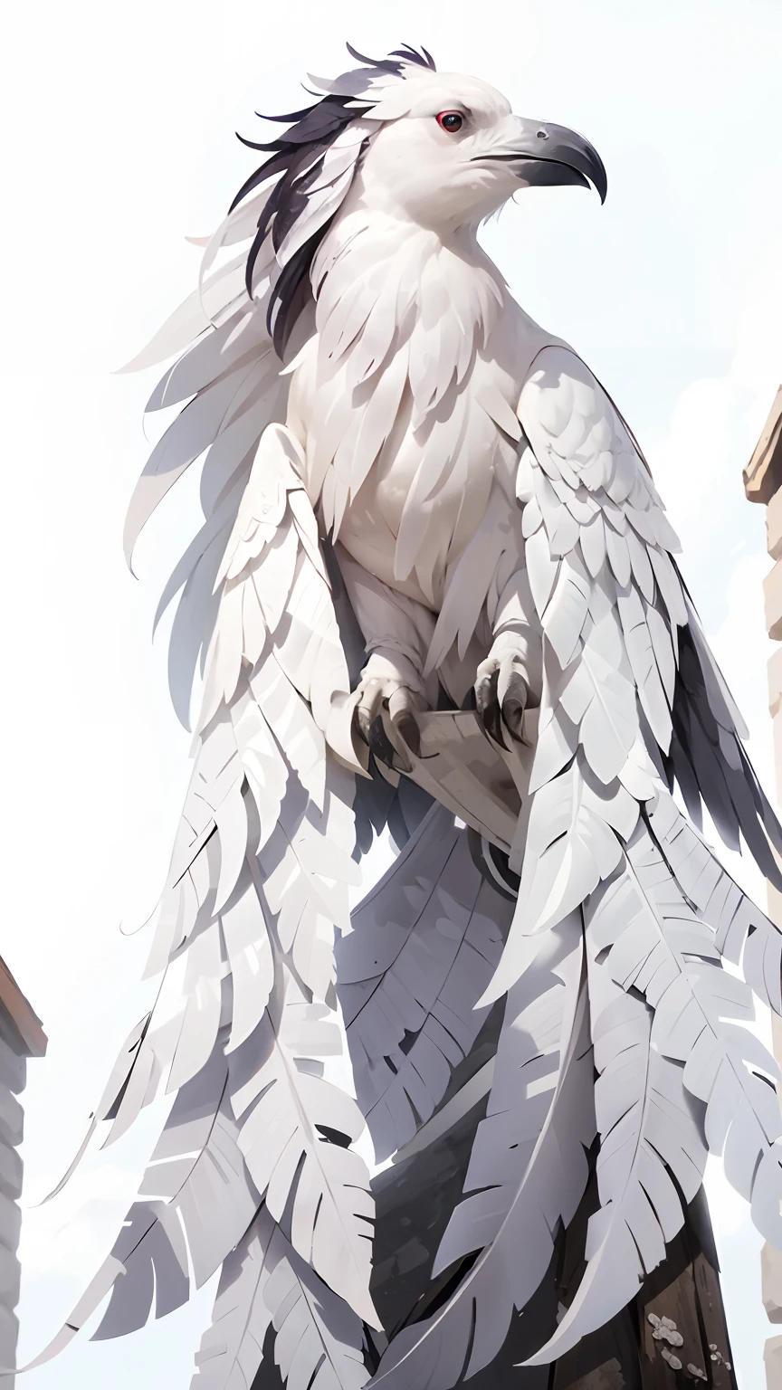 A white raven