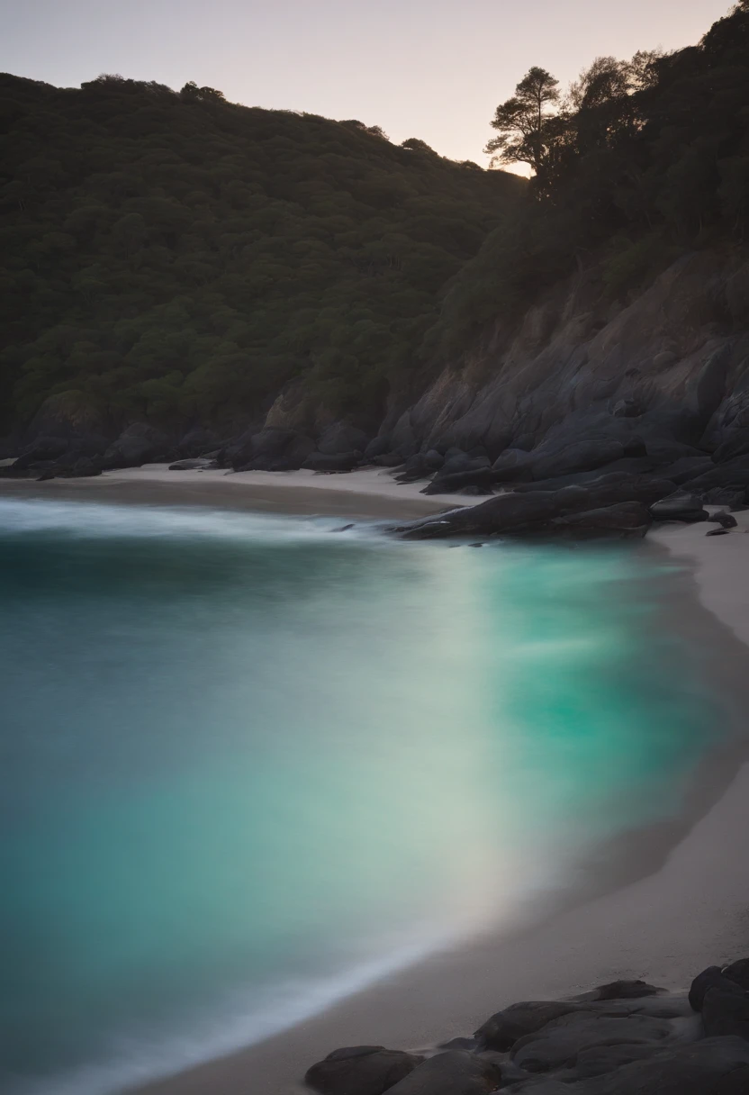 "Bioluminescent Serenity" - Sally Mann, Edward Weston, cinematic photo, beach, wetsuit, neon material, bioluminescent algae, surfboard, holographic waves, 35mm photograph, bokeh, professional, 4k, highly detailed, luminous, tranquil, intimate, enchanting, natural beauty, poetic.