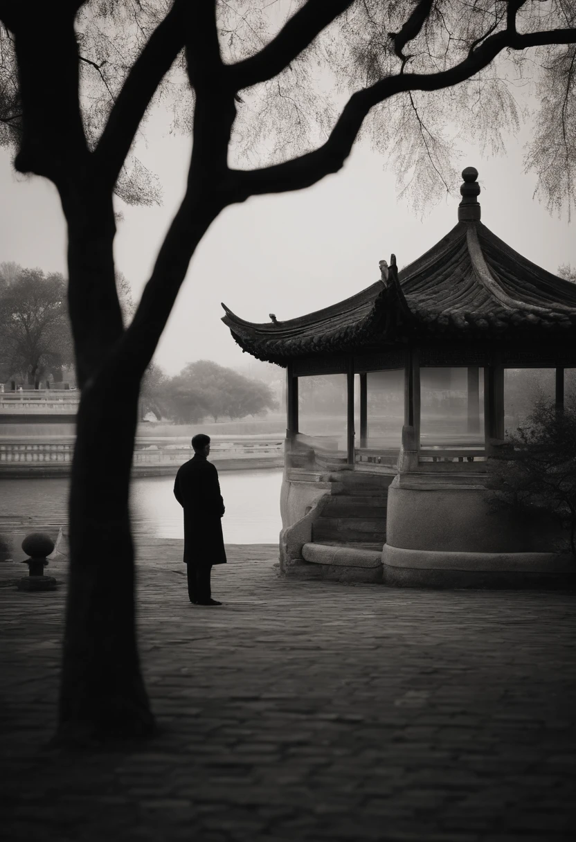 A tree with few leaves, Autumn view Little man under the tree, Black and white Suzhou architecture in the distance, Chinese Style Landscape Zen Minimalist Aesthetics Minimalist Sense of Space Chinese Traditional Culture Chinese Style Landscape New Chinese Style Oriental