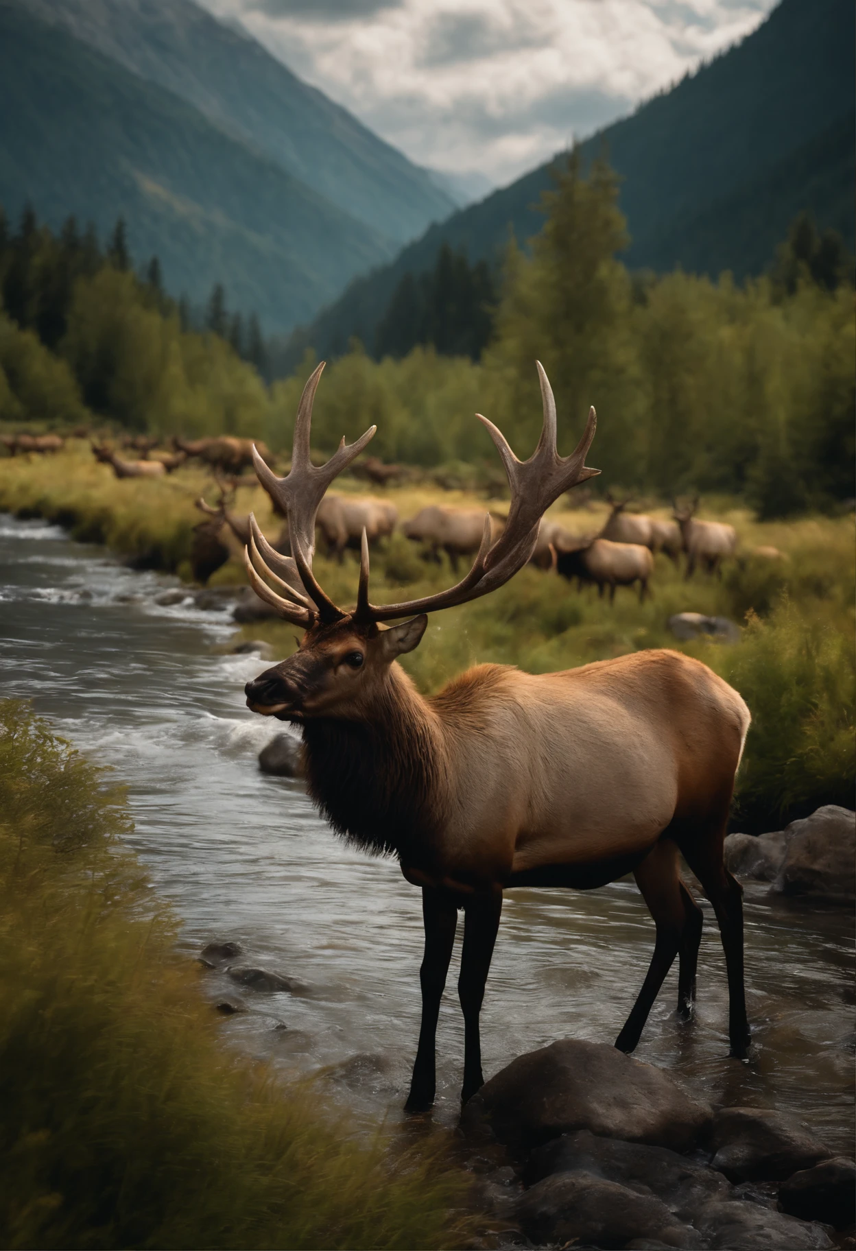 A herd of elk walking along a river in a mountain valley, (best quality,8k,masterpiece:1.2), ultra-detailed, oil painting, realistic, vibrant colors, magnificent landscape, golden sunlight, misty mountains, crystal clear river, lush green meadows, moss-covered rocks, graceful elk with magnificent antlers, peaceful atmosphere.