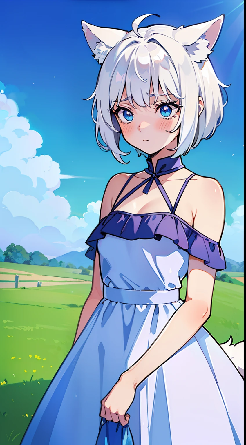 High quality, 1girl, ((((Candy Candy anime coloring)))), (wolf girl, wolf ears, wolf tail), animal ears, ((((short hair)))), ((silver white hair)), hair clip, ((hair tap eye)), ((blue eyes)), long eyeslashes, eyeliner, (((small breasts, long old west, long old dress, bare shoulders))), solo, ((standing)), ((worried, sad expression, melancholic, look blue eyes)), portrait, close-up, (field background, sky, clouds), face, closed_mouth, blush, anime_coloring, eyelashes, shiny, detailed shadows, detailded eyes, (((Manga style, Manga coloring))).