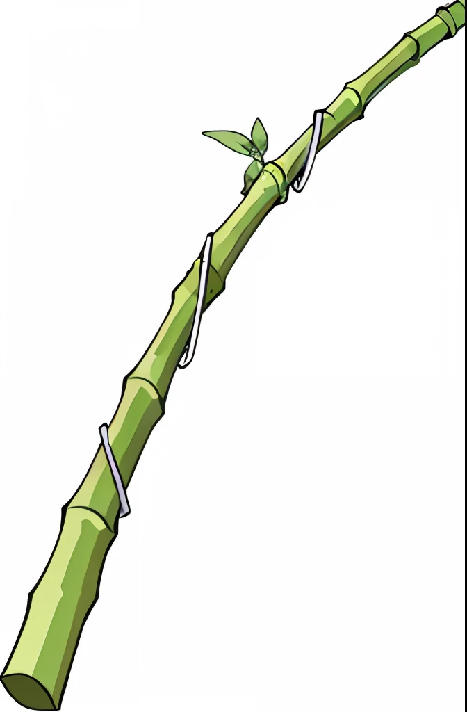 Bamboo,rod