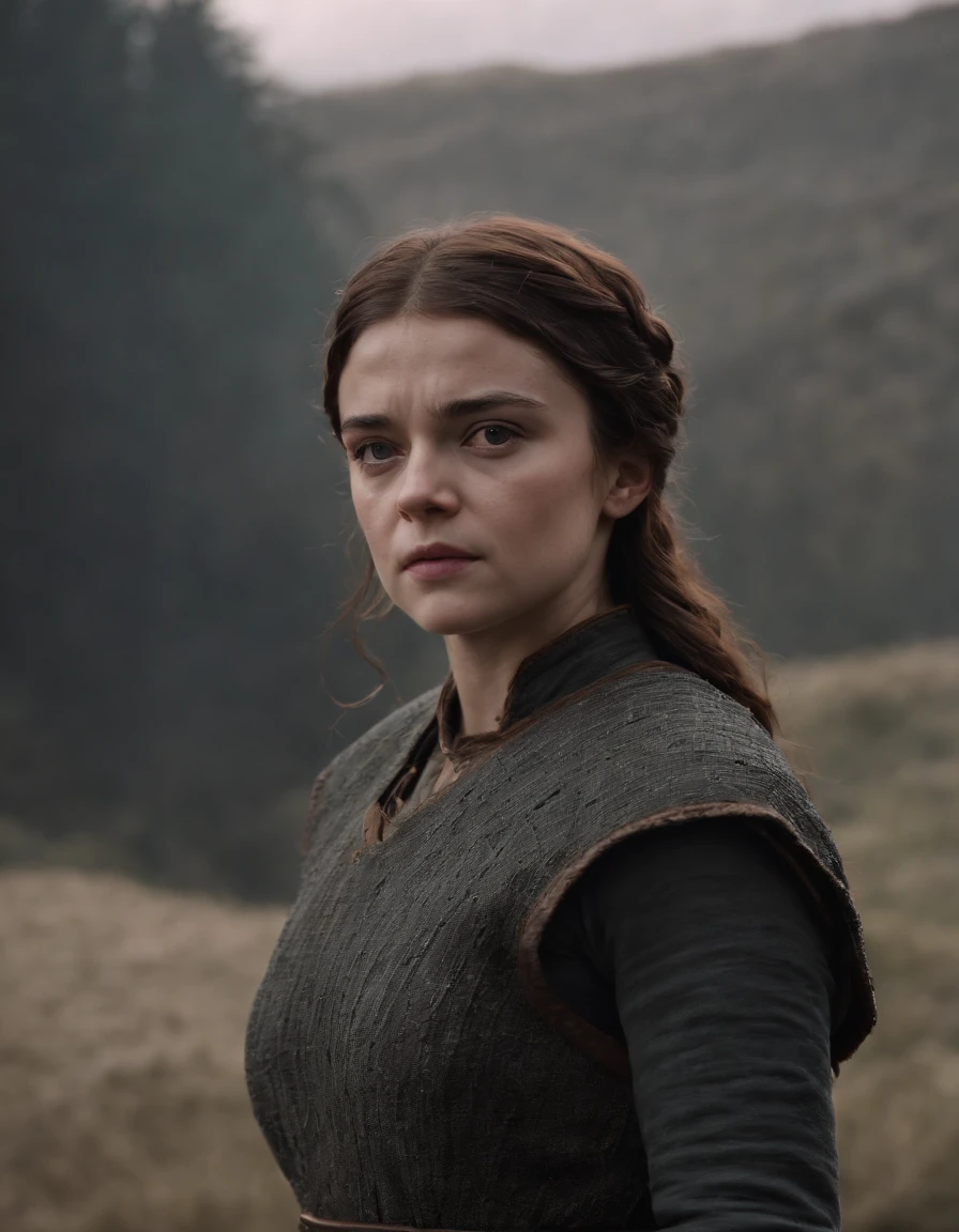 (Best quality, 4k, Masterpiece :1.3), arya stark