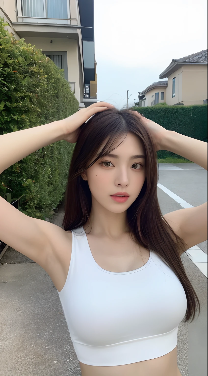 ((Realistic lighting、top-quality、8K、masterpiece:1.3))、Clear Focus:1.2、1girl in、Perfect figure:1.4、Slim abs:1.1、((dark brown hair))、(White crop top:1.4)、(outside of house、natta:1.1)、Street、Super fine face、Narrow-eyed、二重まぶた、Put your hands on your head、Raise your arms、Tank tops、sleeveless