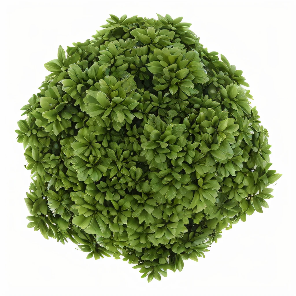Close-up of a green bush on a green background, View of the shrub from above, Volumetric light, Bush texture top view, Stylized vegetation for the game, The moss is very detailed, High Resolution UltraDetail, Aerial view from top to bottom, Moss ball, green plant, Quixel Megascans, bush, Highly detailed picture, Ultra detailed trees