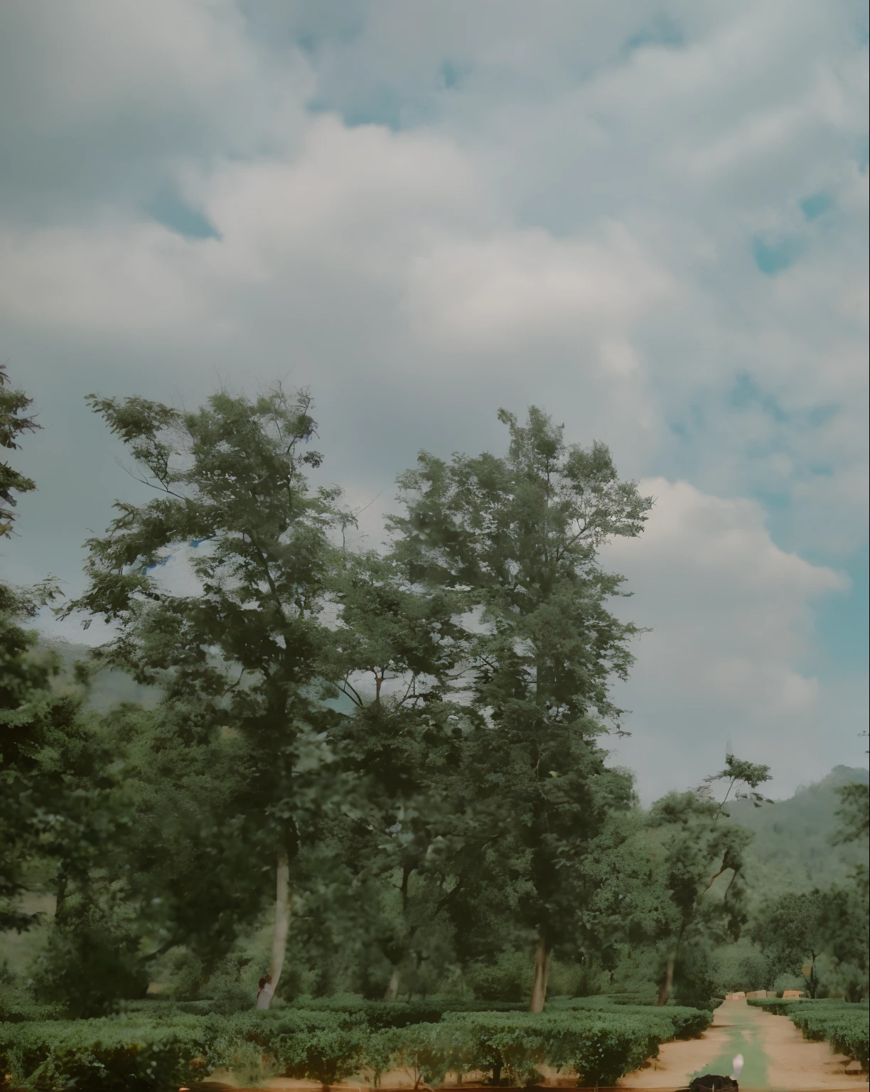 there is a man standing and he is wearing a crown and he is in a field where in background there is a sunset happening and dragons are roaring in the sky