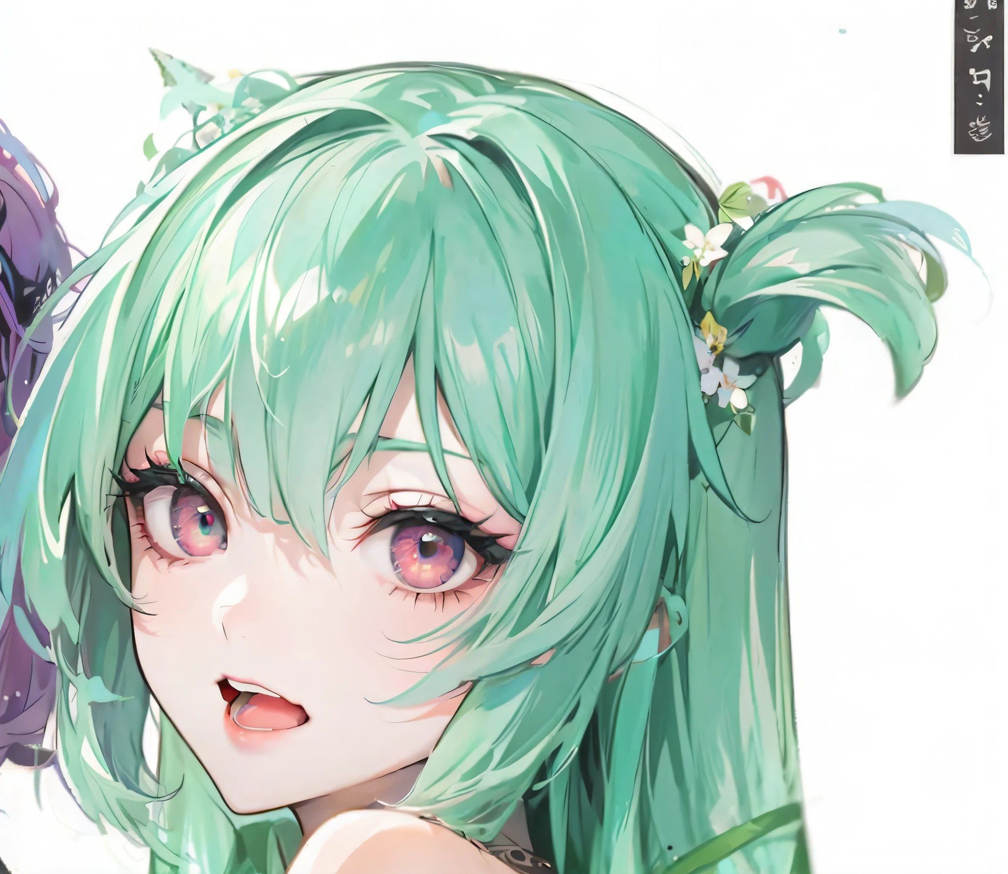 two succubus,A flattering look,Distinct hair,complaisant,Succubus face