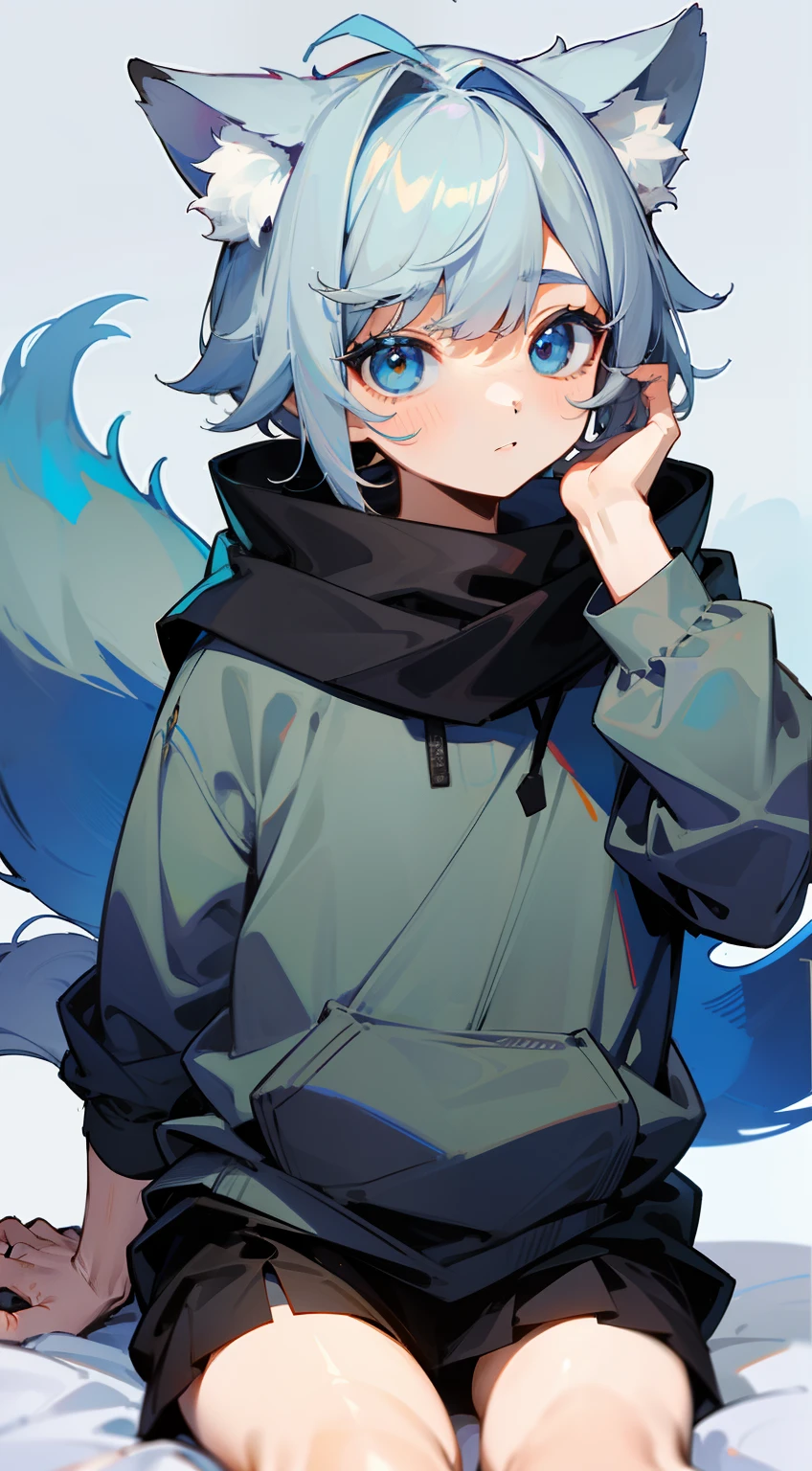 (1boy), (Shota), (qualidade HD, Masterpiece level), personagens adolescentes bonitos, cabelos grisalhos escuros, olhos vermelhos, (orelhas de lobo), (cauda de lobo), uma cauda, (sem orelhas), (garotinho pequeno), (orelhas cobertas), (orelhas cobertas de cabelo), uma pitada de franja azul, diagrama de corpo inteiro, rosto gordinho,