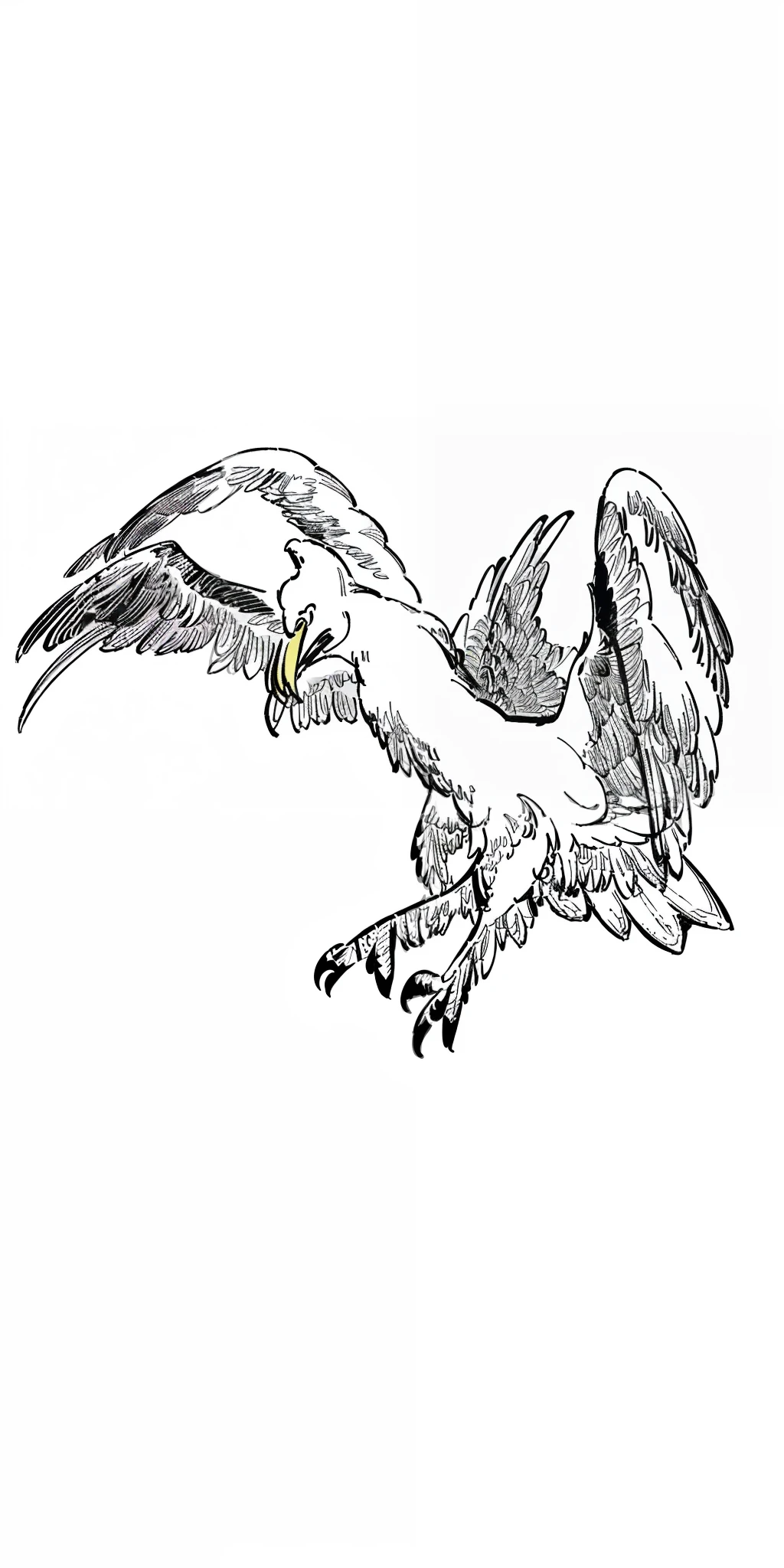 drawing of a bird with its wings spread out and its wings spread, gryphon, flying mythical beasts, artwork of a phoenix, a phoenix, inspired by Sugimura Jihei, simple lineart, extremely fine ink lineart, artistic drawing of a crow, inspired by Kōno Michisei, a mythical creature, with large wings, thick black lineart