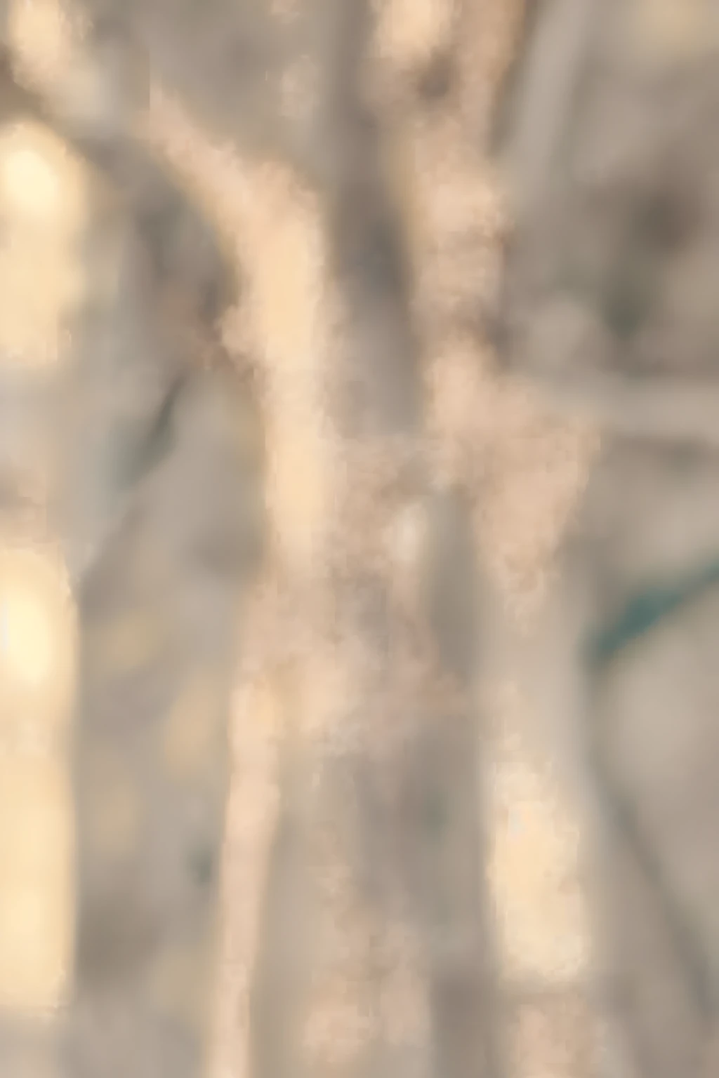 (8k, RAW photo, highest quality, masterpiece: 1.2), (real, photoreal: 1.37), Naked, perfect body, huge tits, Tight, see-through shirt