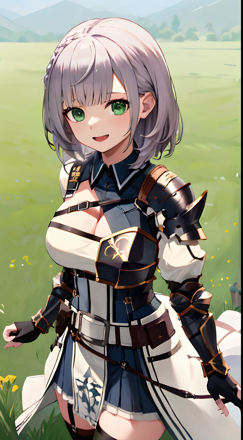 Arnoel, Medium Hair, Green eyes, shairband, Blue collar, Shoulder Armor, cleavage, mole in breast, Armored dress, Chest belt, gold trim, Fingerless gloves, Black Gloves, brown belt, Pouch, pelvis curtain, black thighhighs,Watch the smiles on your viewers' faces、grass field