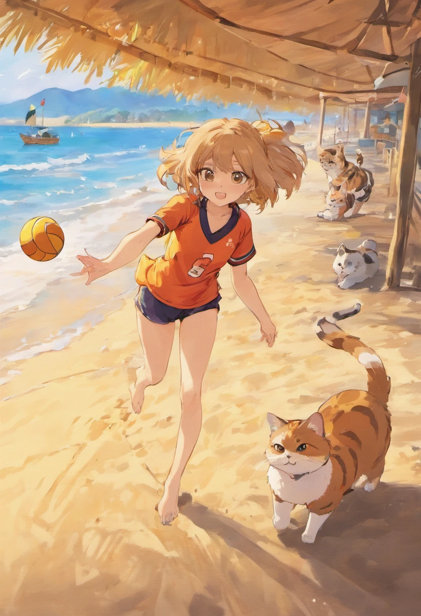 Tabby cat at the beach and tanuki cat playing volleyball