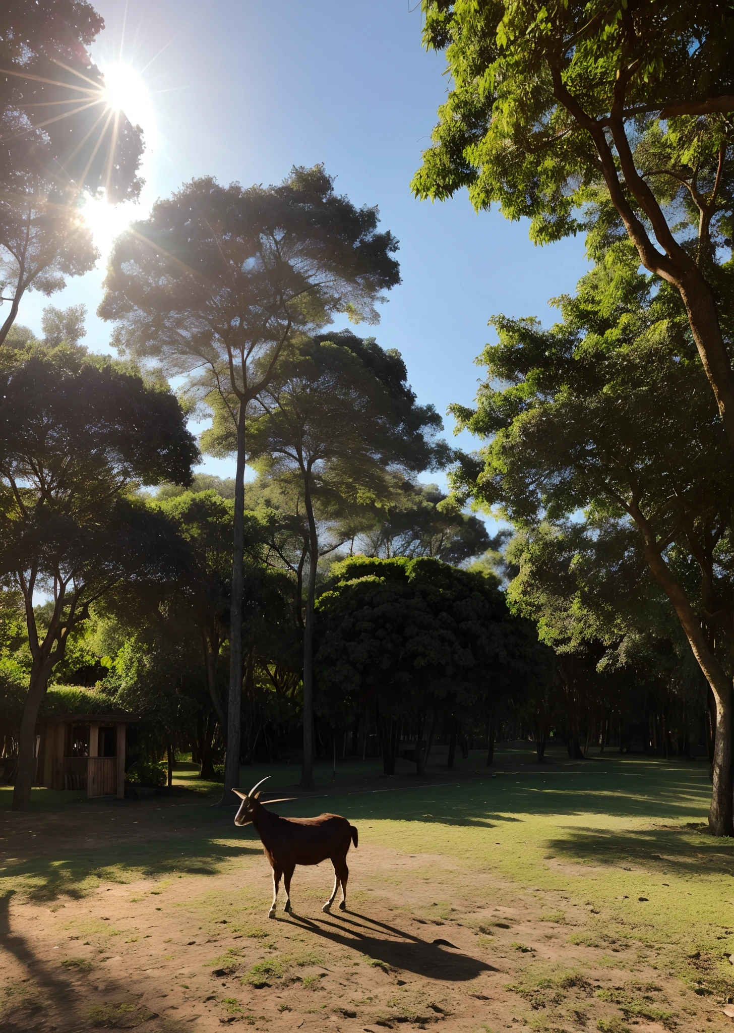 A Goat Standing, His outfit is a black suit and tie, he has the head of a black goat, rosto de bode preto,In the background of the image is a beautiful paradise, com nuvens, and birds flying overhead, com raio de luz do sol radiante na imagem de alta qualidade, place is a paradise only its bottom, raios de sol e luz, Late afternoon paradise