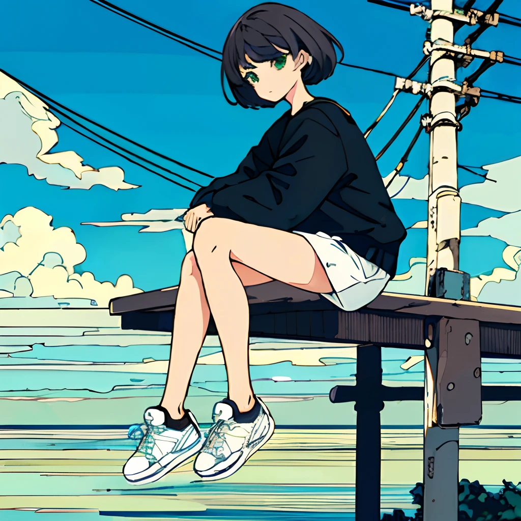 masterpiece, intricate detail,best quality, 1girl, solo, railing, cloud, sitting, outdoors, whale, short hair, shoes, sky, long sleeves, sneakers, power lines, white footwear, black hair, looking at viewer, utility pole, bangs, cloudy sky, fish, bird, green eyes, shorts, animal, day, black shirt, bare legs