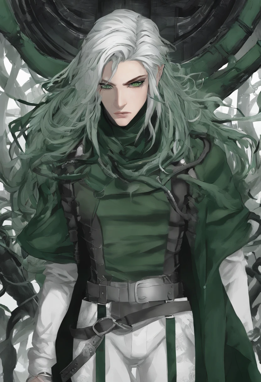 A handsome man with long dark green hair、Green eyes,The expression is cold,A poisonous snake wrapped around his neck,viciousness,unholy,badass,Wearing delicate white clothes,Full body like。