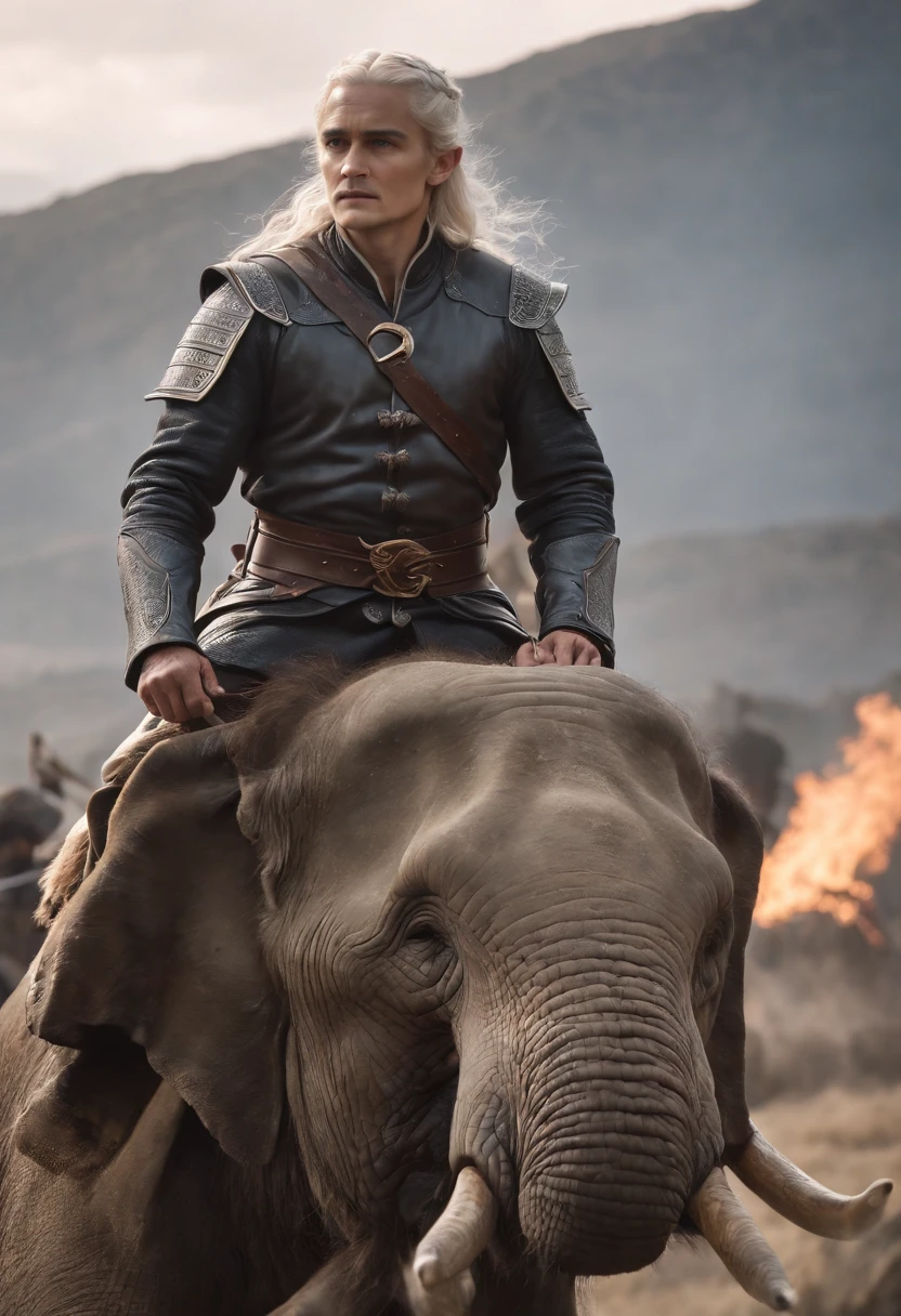 Orlando Bloom，elf prince，The long silver hair is smooth，Tyndall Light，Standing on the corpse of a dead giant elephant，holding a bow and arrow，The expression is calm，at the battlefield，dark stormy clouds