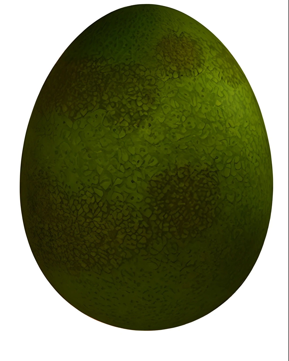 Allafid green egg on white background, an egg, ornate egg, mossy stone, Platinum, greenish tinge, herb, Eggs, strong eggshell texture, An ancient, Dragon eggs, eggshell color, Olive, greenish skin, Bronze, avocado, egg yolk, Amazon, Egg, earthy, protophyta, algae