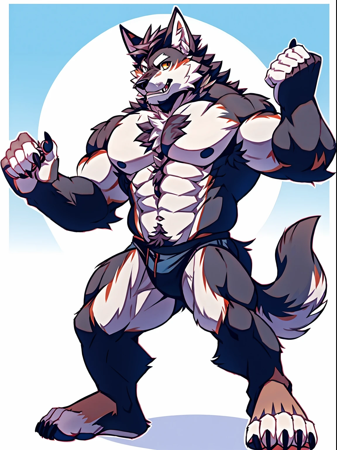 Human-wolf,musculous,Hairy all over,clawed paws,erect through