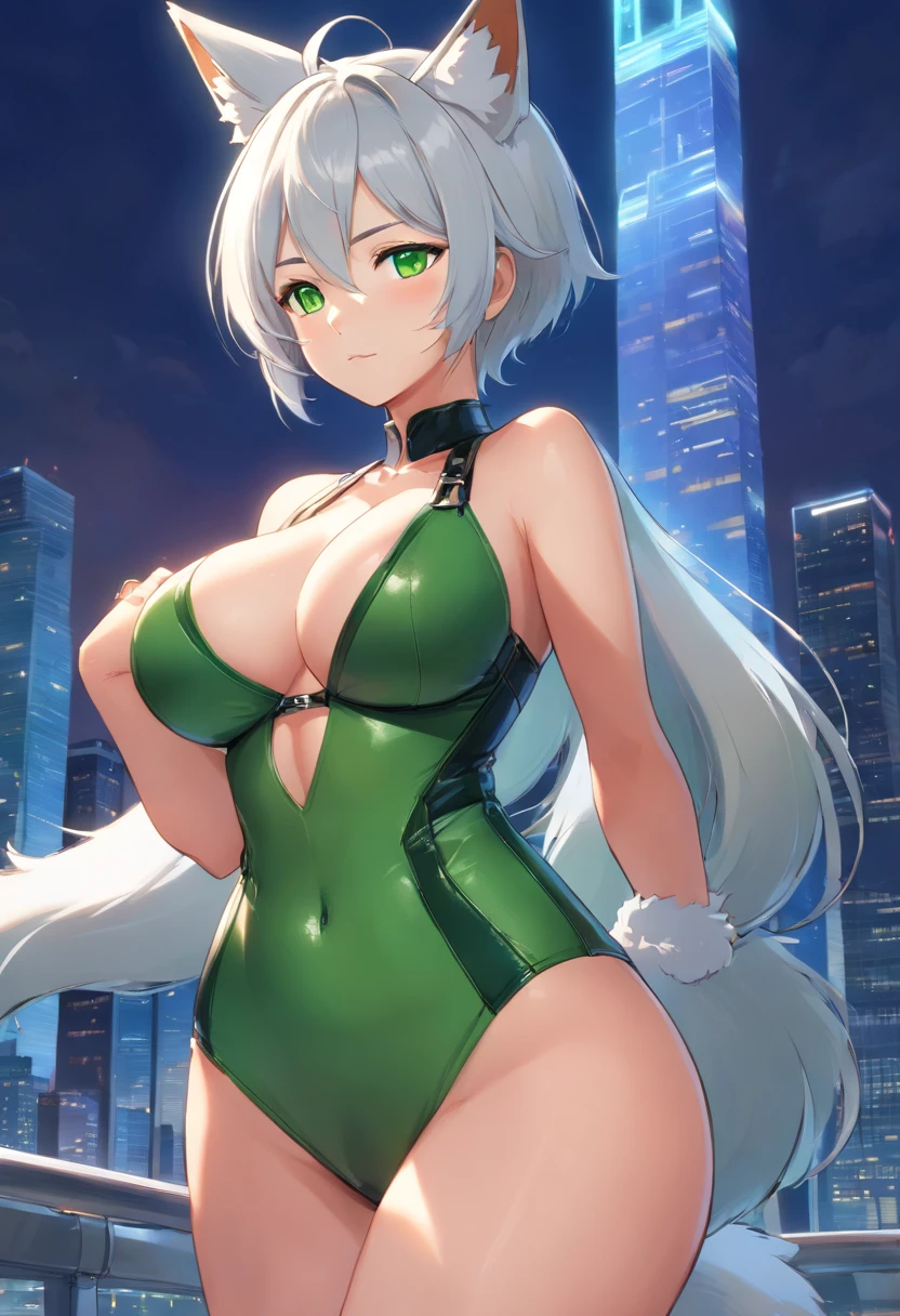 a one woman, Fox ears, Foxtail, Silver hair, Green eyes, big breasts, Leather, Transparent, pantyhouse, leather dress, Bodysuit, Mature Lady, Tall man, wide hips, big ass, Sexy, Mature,