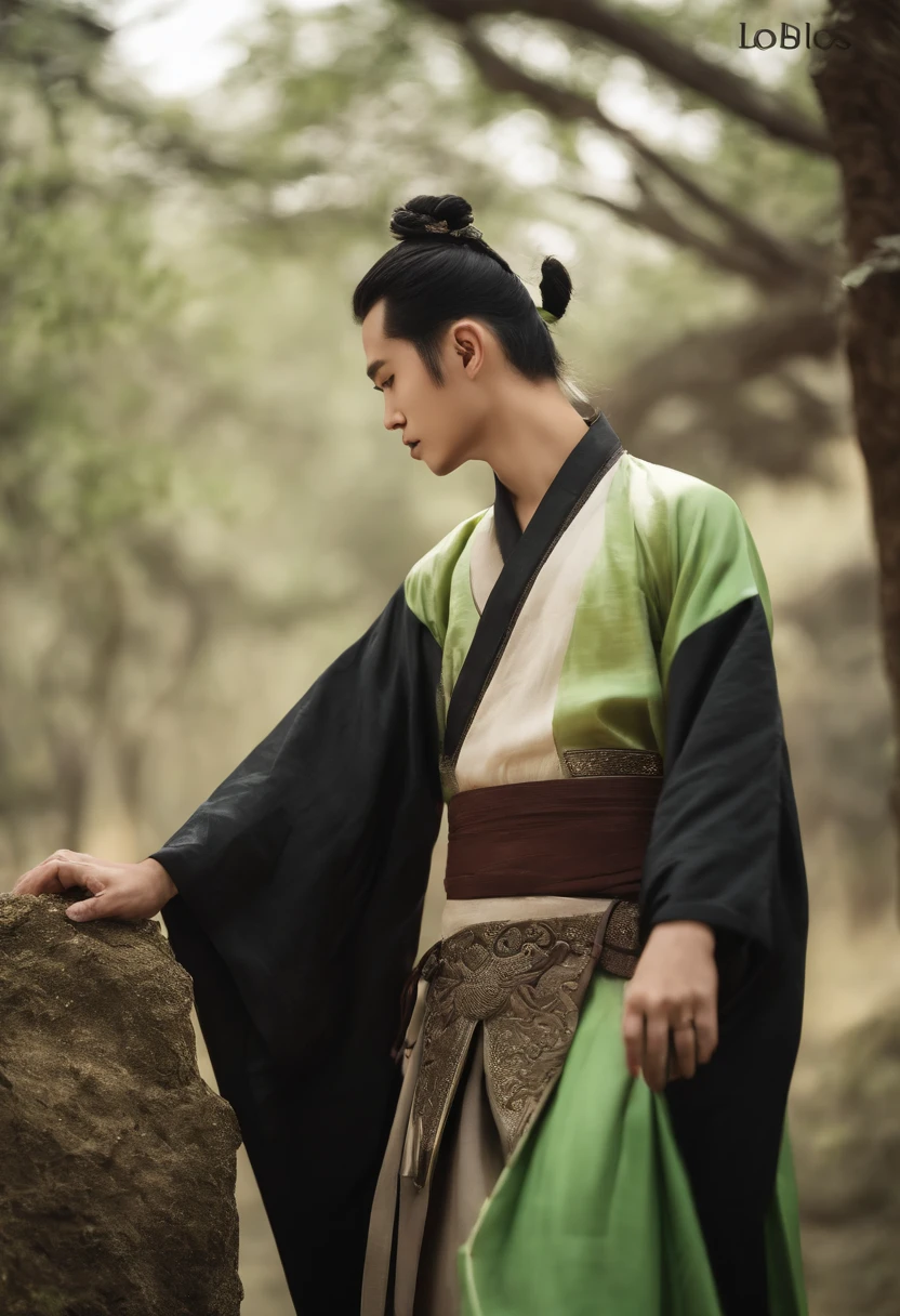 Libido boy，HighestQuali，extremely detaile，Youthful，Sword-eyed stars，Tribal Junior，Around twelve years old，Young man，cool guy，Ancient wind，vivaciousness，child，Libido boy，Gorgeous light green robe，Black Chinese style high ponytail，Black eyes，Sunny and cheerful，Young man，Black hair，s delicate face，sharp sharp eyes，Clear eyebrows，Kind expression，Fluttering hair，Flowing sleeves，Ancient style，Wind dance pose, Long flowing black hair flowed out，Messy hair，Qi Yu Xuanang，looking at viewert，（tmasterpiece：1.4），（best qualtiy：1.4），(The composition is perfect)，high-definition depiction，8K，The polar composition of the film，Cinematic lighting，Cinematic texture，Strong sense of atmosphere