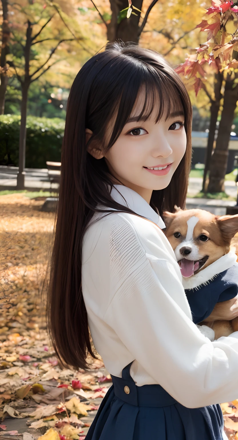 (top-quality、​masterpiece:1.2)、Best Quality、realisitic、photoshot、hight resolution、1080p、8K、Textured skin、Physical Rendering、1 Japan Girls、High 、kawaii、Young Face、Rolled hair、(Autumn outfit:1.5)、a park、Holding a small dog、full of shyness、smil、Big