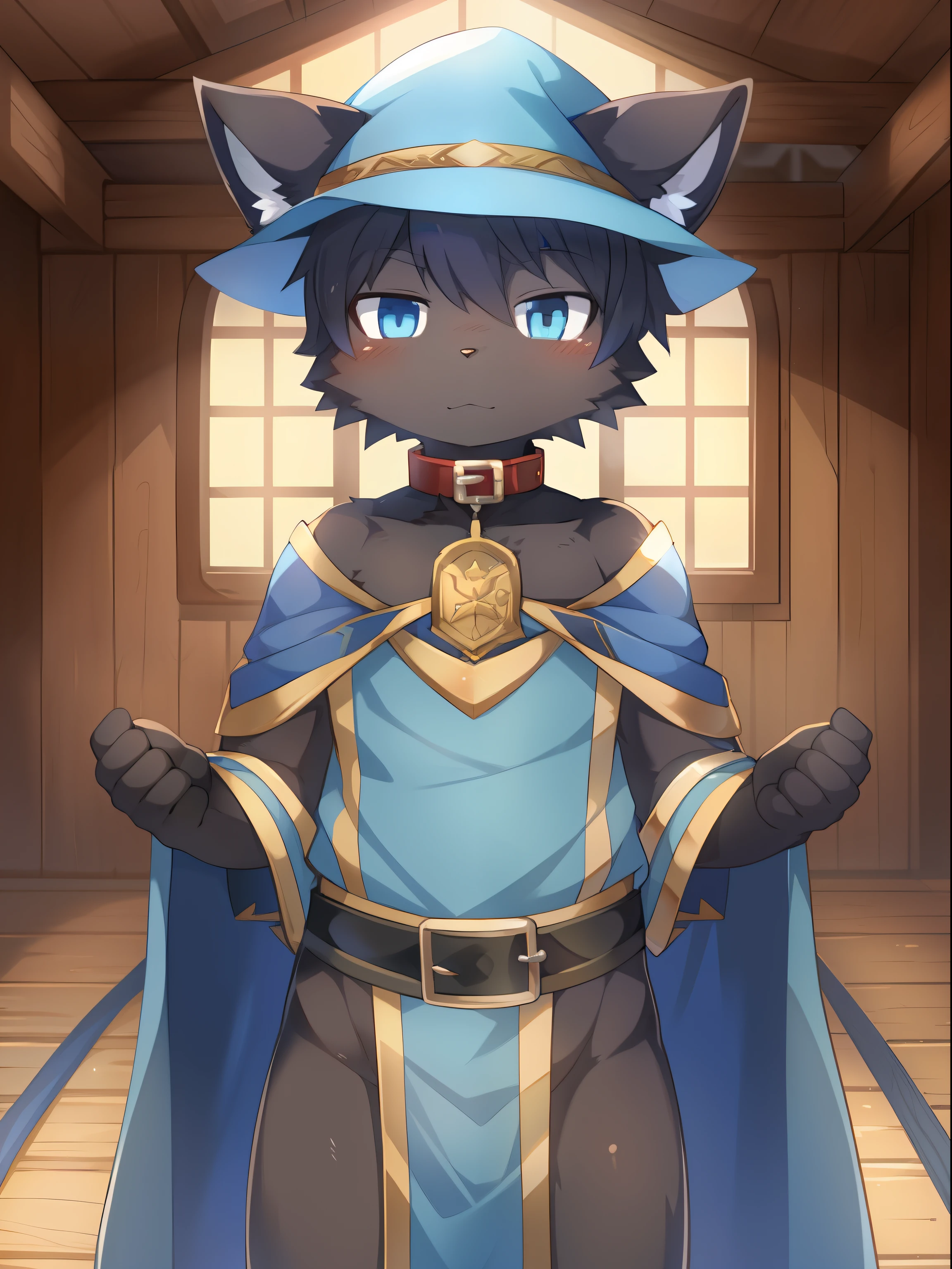 masterpiece, solo, 1boy, Furry, kemono, furry cat, anthropomorphic, male, black fur, black skin, blue eyes, blue wizard clothes, slave collar, sexy clothes, fantasy town, uploaded on e621,