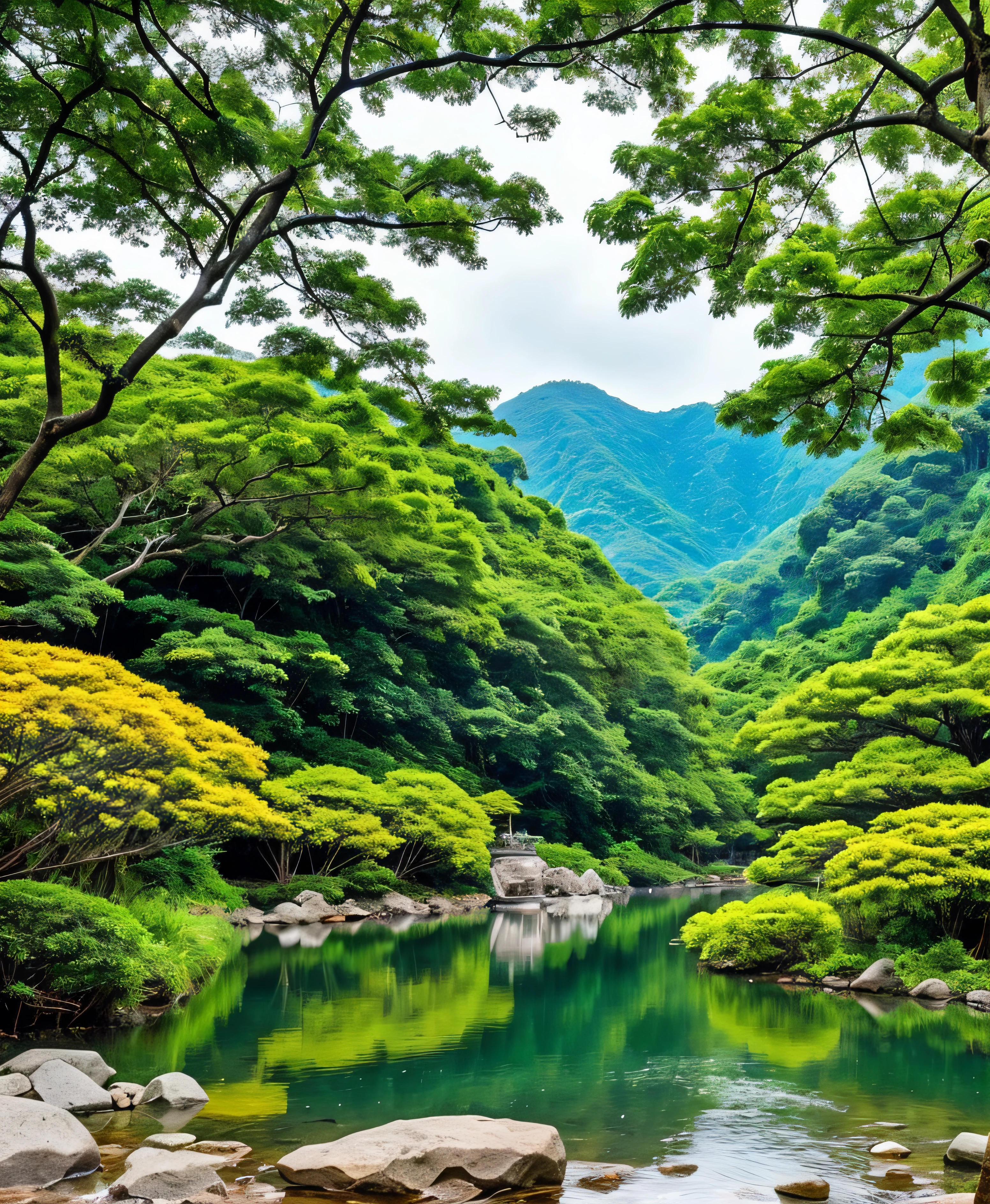 the nature in Asia