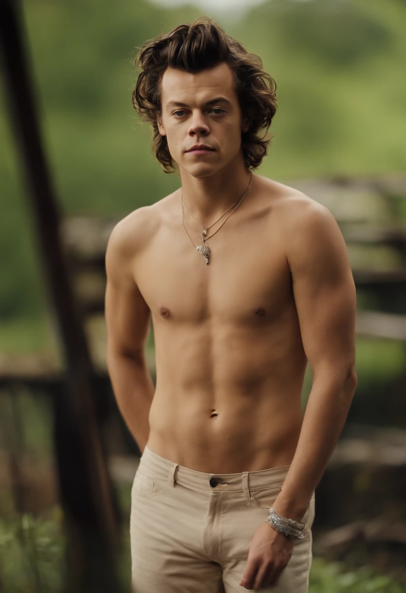 Harry Styles pelado, standing naked