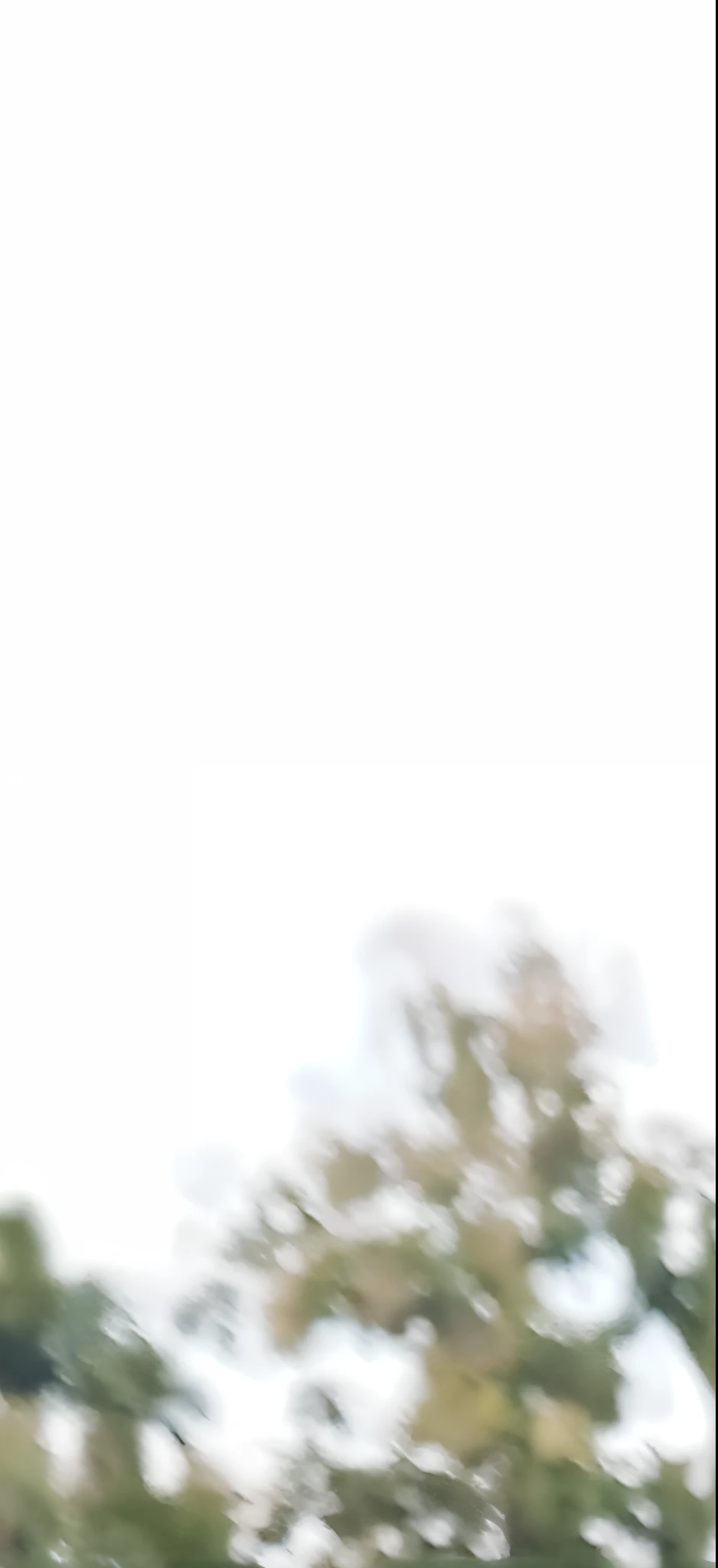Change background, sunset background , realstic face